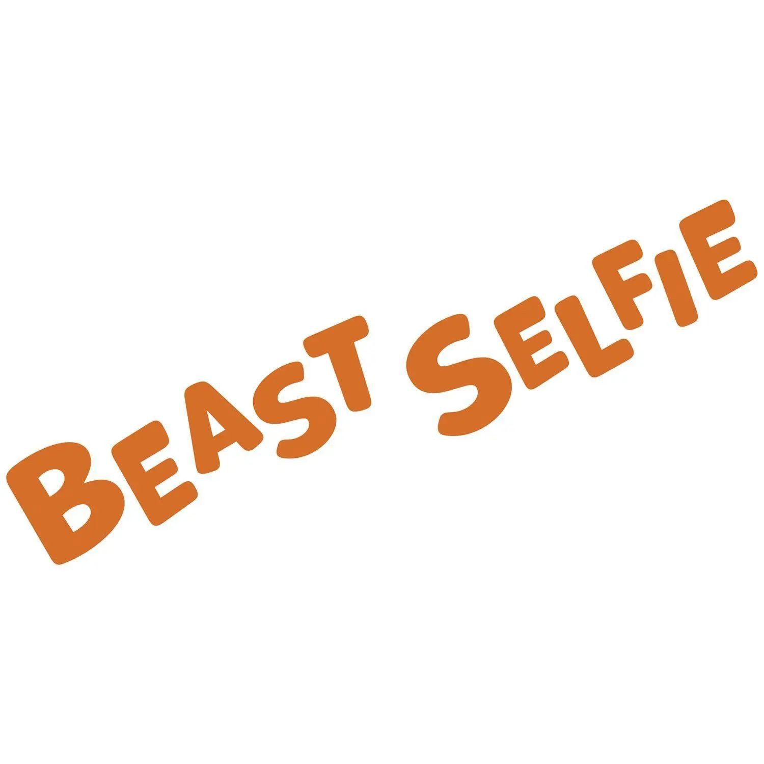 HUCH! Spiel Beast Selfie