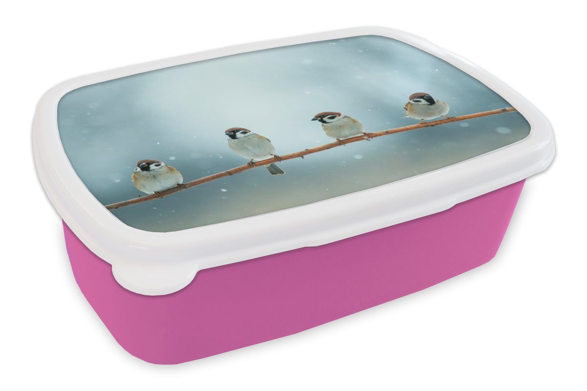 Spatz Brotdose für Lunchbox Kunststoff - Mädchen, Snackbox, Erwachsene, Schnee Kinder, Kunststoff, rosa MuchoWow Brotbox - Vögel Winter, (2-tlg), -