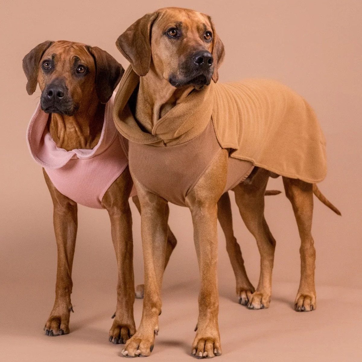 PAIKKA Hundepullover Hundepullover Seawool Hundeshirt rosa