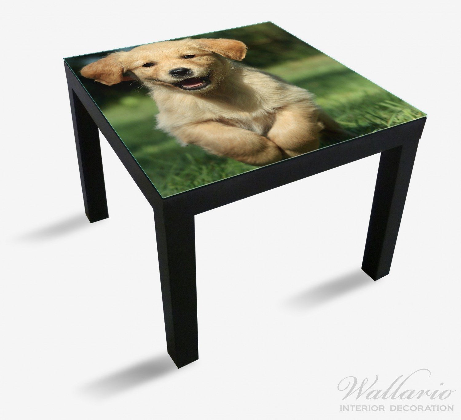 Wallario Tischplatte Süßer Hund Lack (1 Tisch Ikea - St), Golden Retriever geeignet für