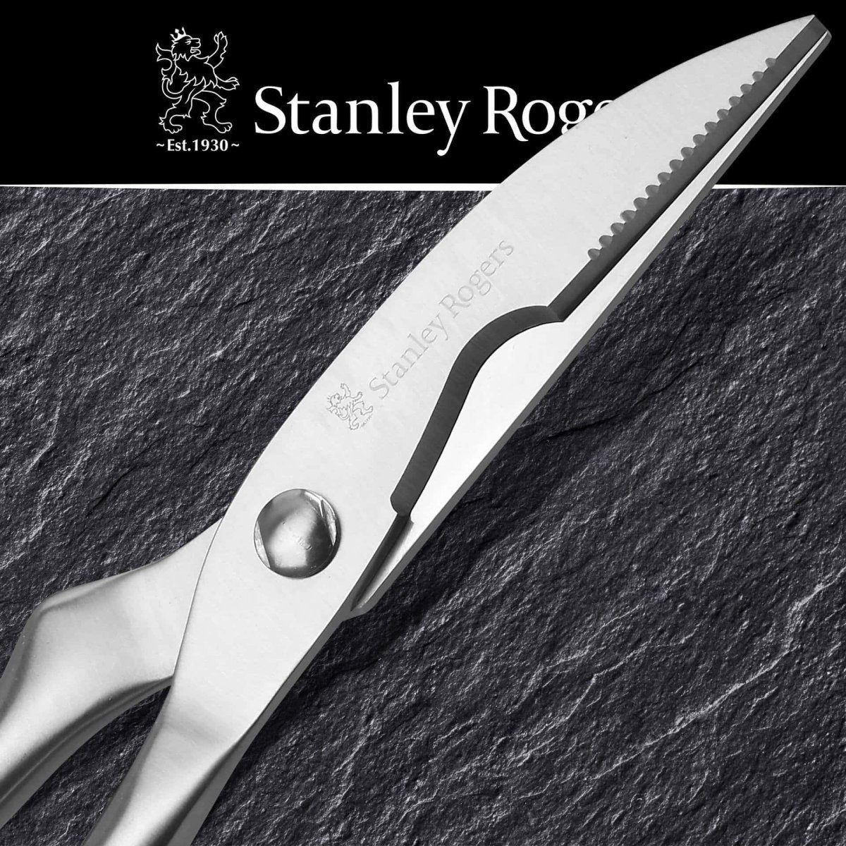 Stanley Rogers Geflügelschere aus Edelstahl, zerlegbar, 25cm lange Klinge