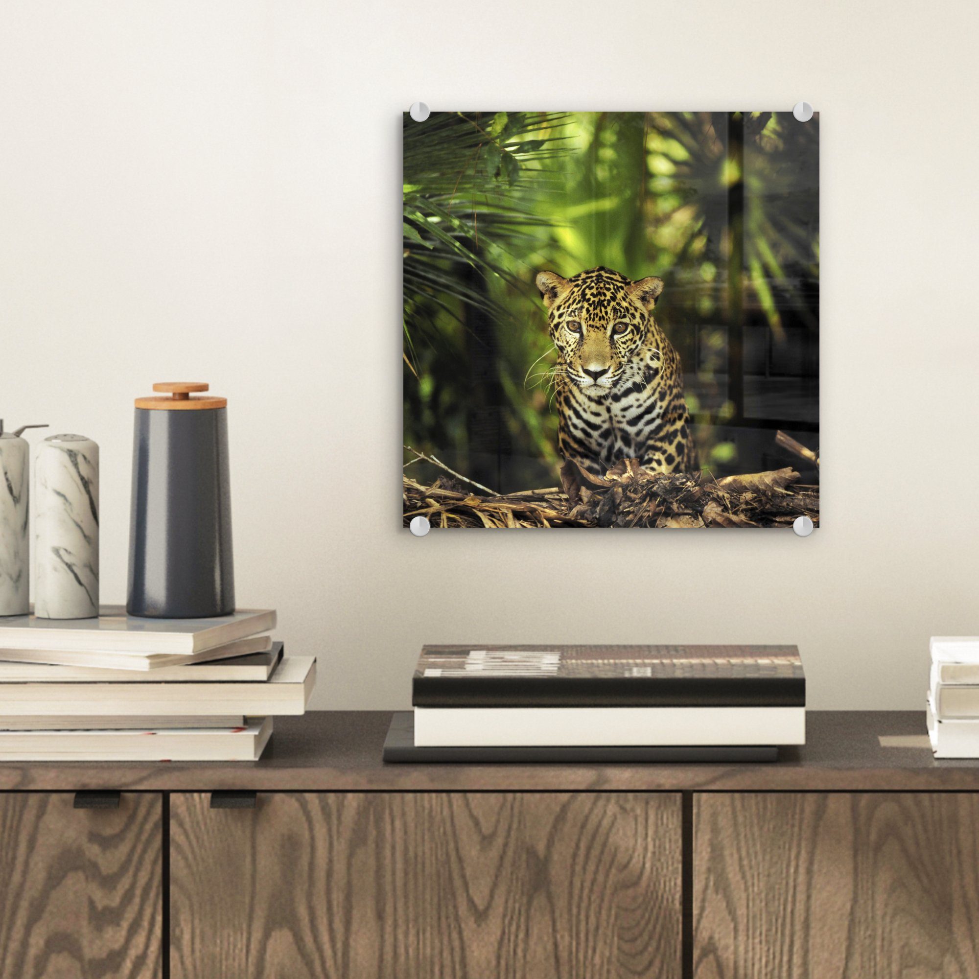 MuchoWow Acrylglasbild Junger Jaguar im - - Wandbild Dschungel, St), (1 Glas auf Wanddekoration Bilder Glas Glasbilder - Foto auf