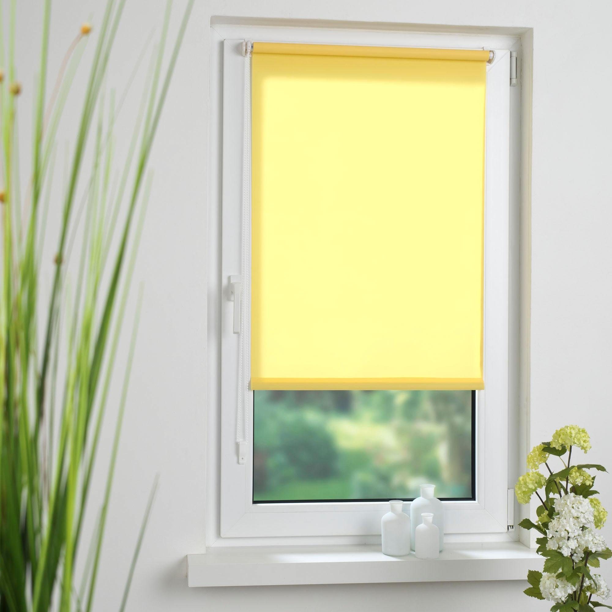 Seitenzugrollo Klemmfix, Liedeco, Lichtschutz, ohne Bohren, günstig online kaufen
