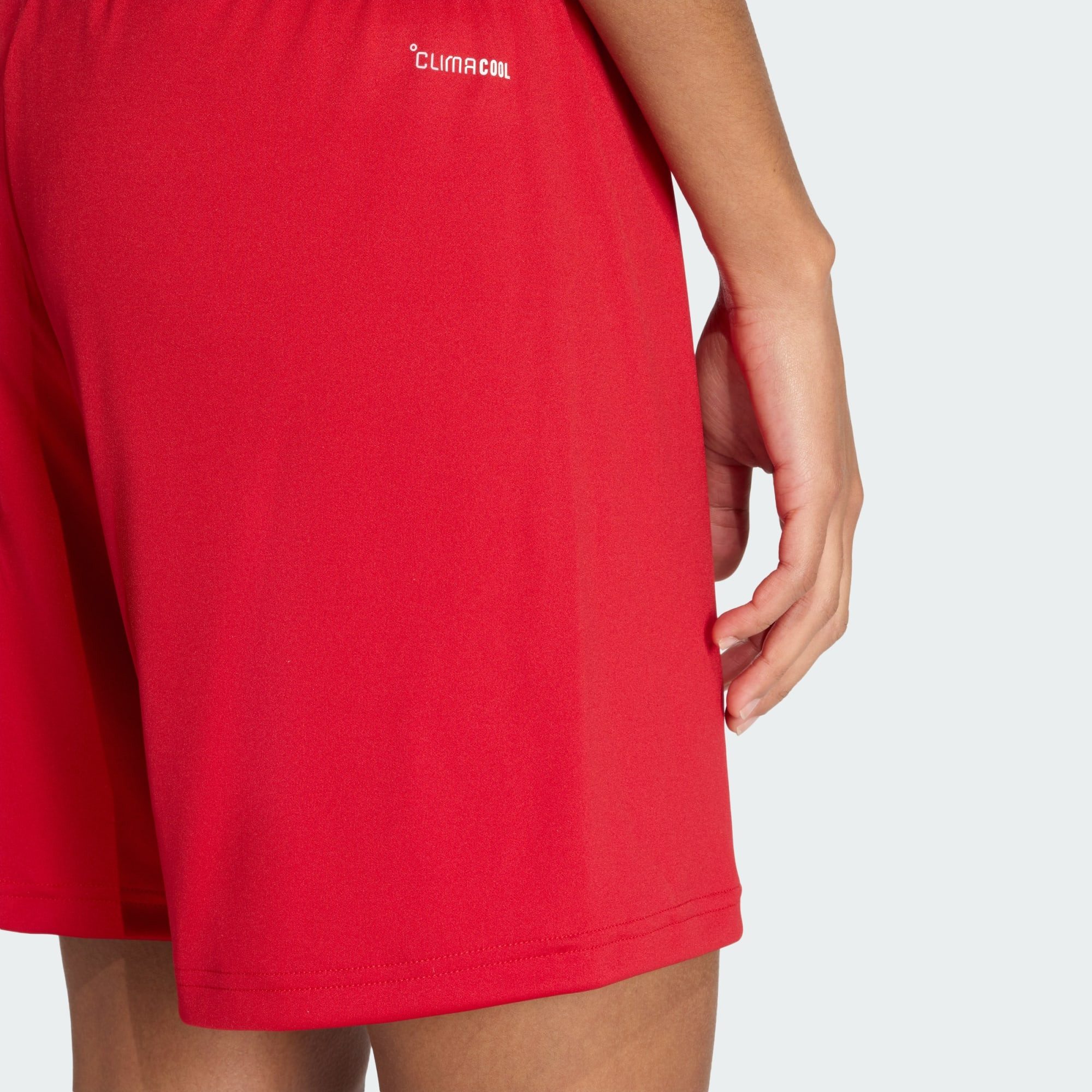 adidas Performance Shorts ENTRADA26 SHORTS (1-tlg)