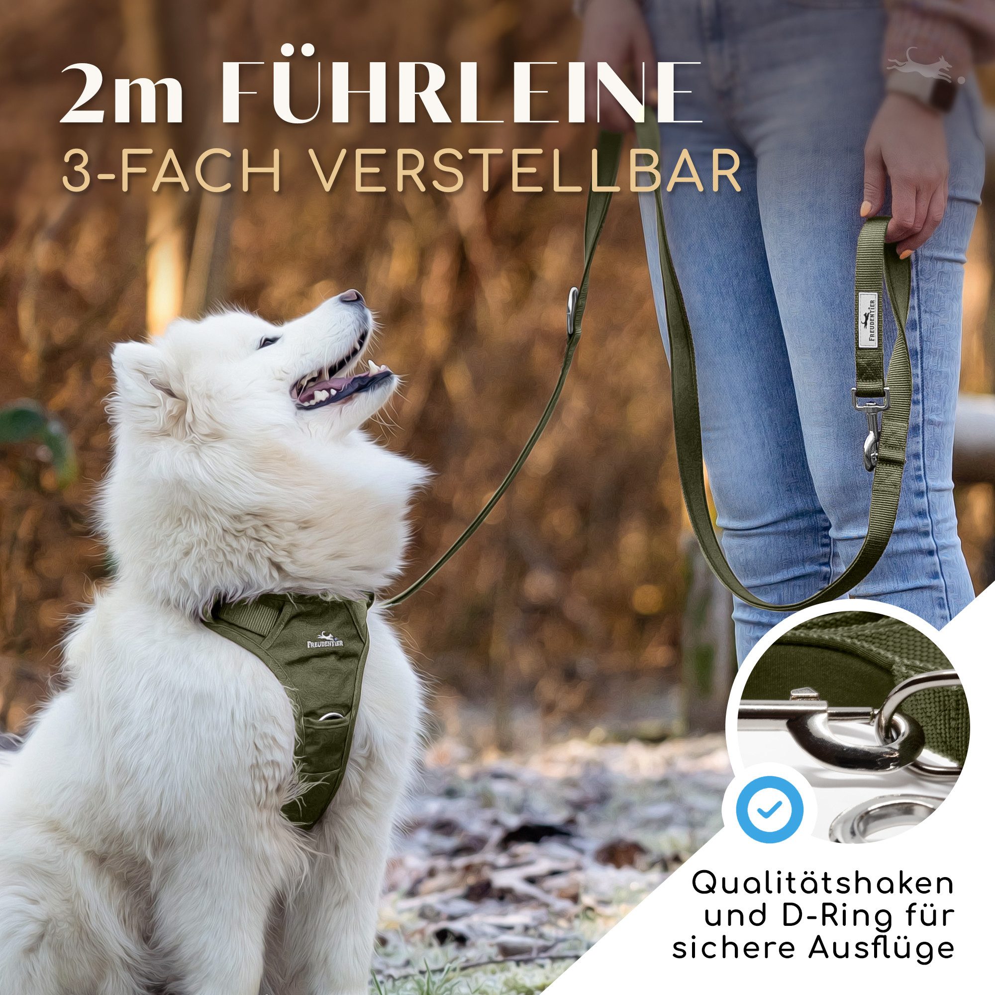 Freudentier Hundeleine 2m für mittelgroße & große Hunde, Führleine verstellbar, weich gepolstert