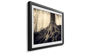WandbilderXXL Bild mit Rahmen Bewitched, Baum, Wandbild, in 4 Größen erhältlich