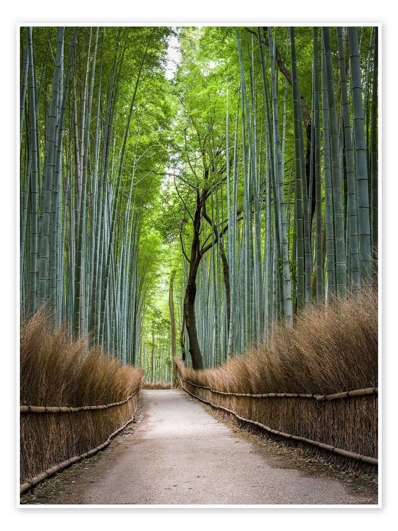 Posterlounge Poster Jan Christopher Becke, Bambuswald in Kyoto Sagano Arashiyama, Japan, Wohnzimmer Feng Shui Fotografie