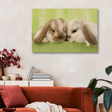 Posterlounge Holzbild Greg Cuddiford, Zwei Kaninchen, Jungenzimmer Fotografie
