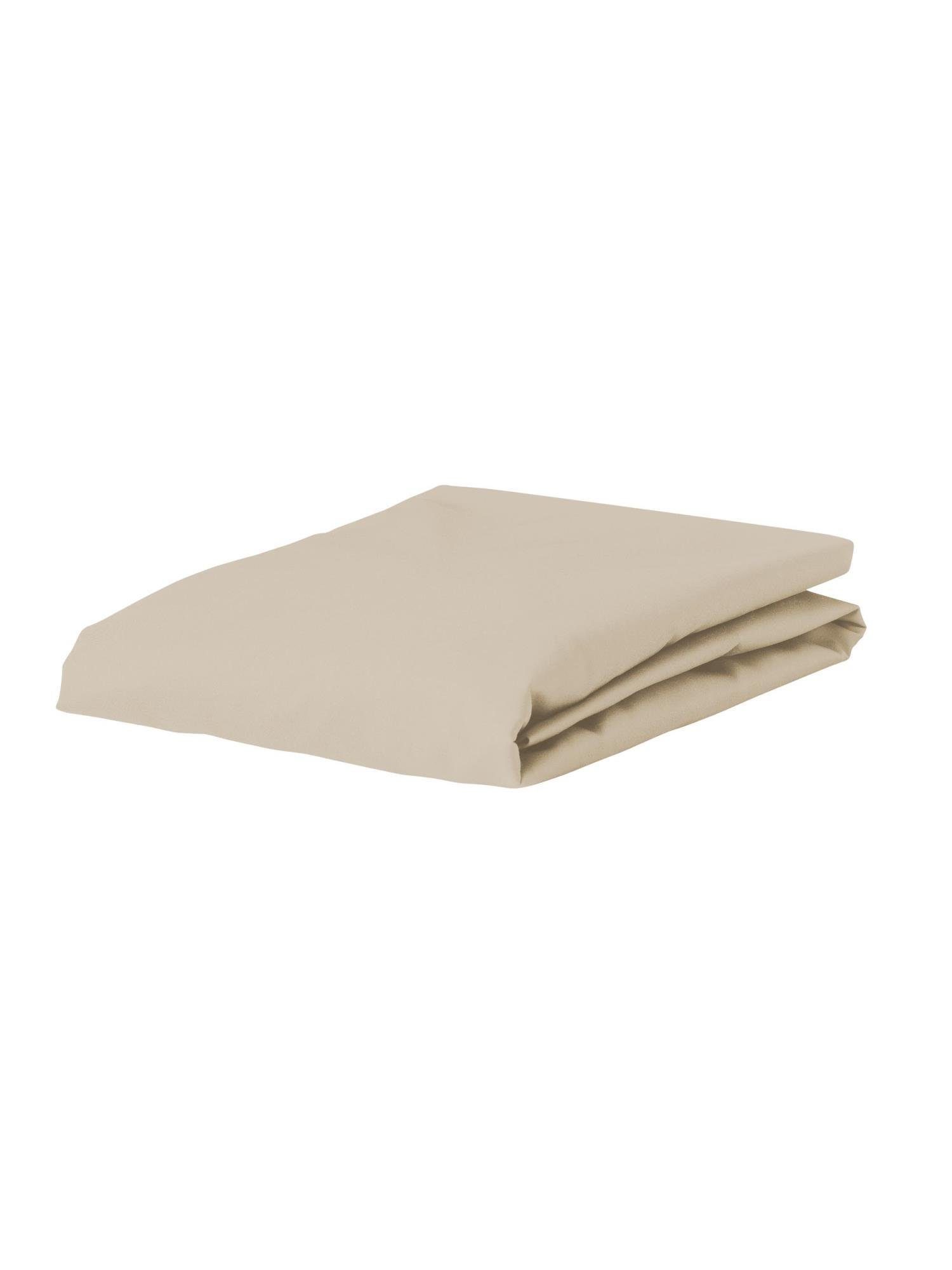 Essenza Spannbettlaken Premium Percale, Perkal, Gummizug: günstig online kaufen
