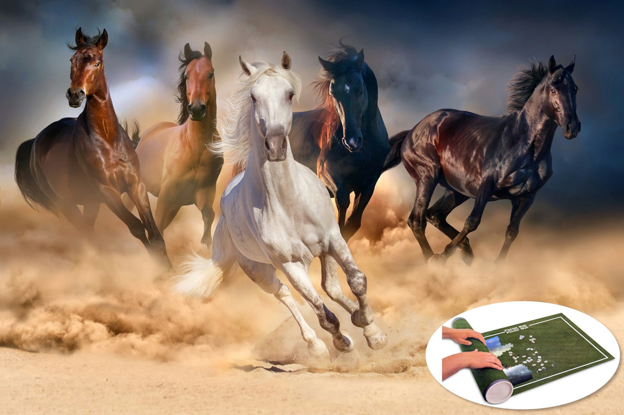 Euro Matte Puzzle Europe Puzzleteile inkl. Toys of Herd - Puzzle Teile) 1000 (1000 Pferde, Horses