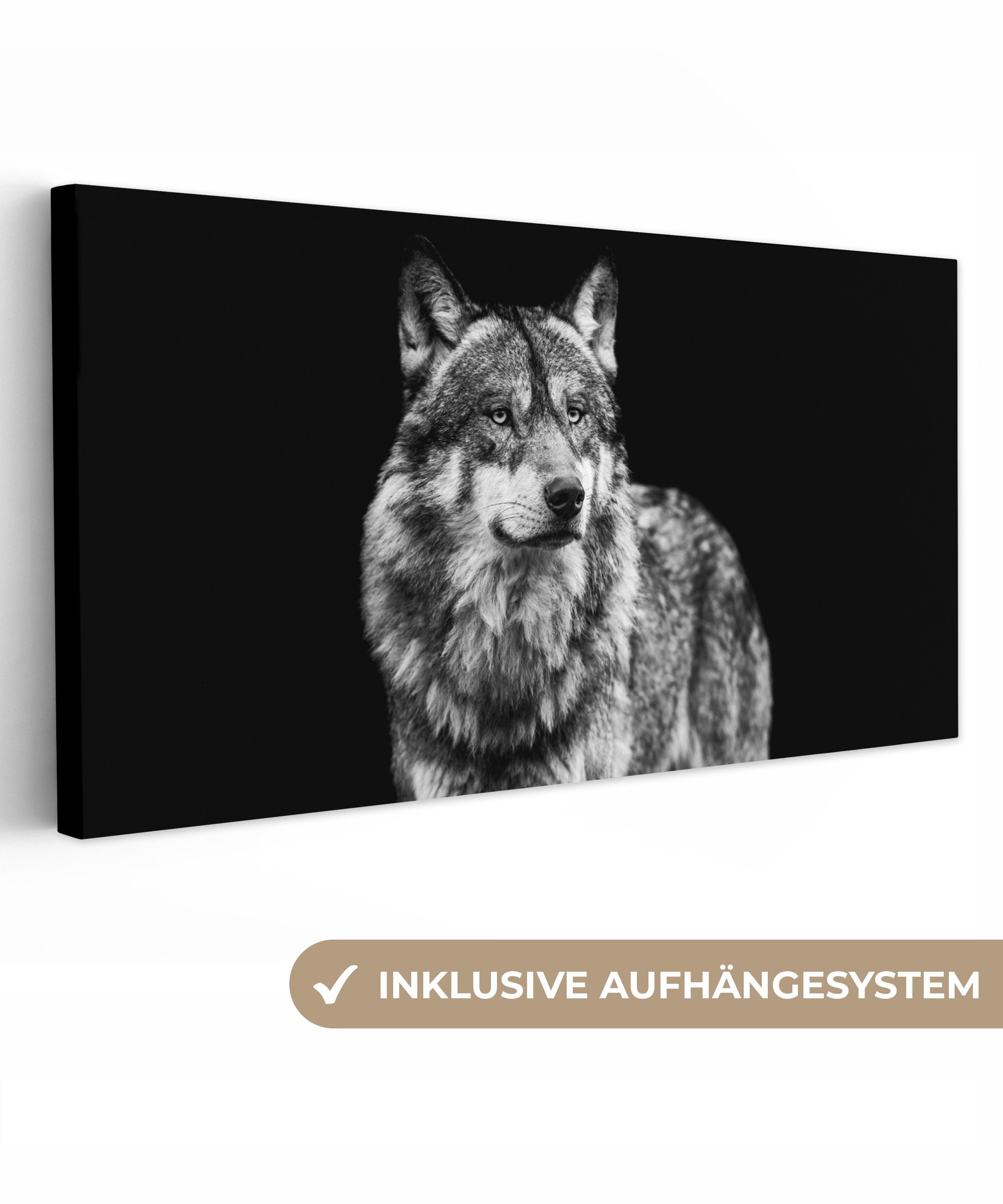OneMillionCanvasses® Leinwandbild Panorama Wolf - Tiere günstig online kaufen