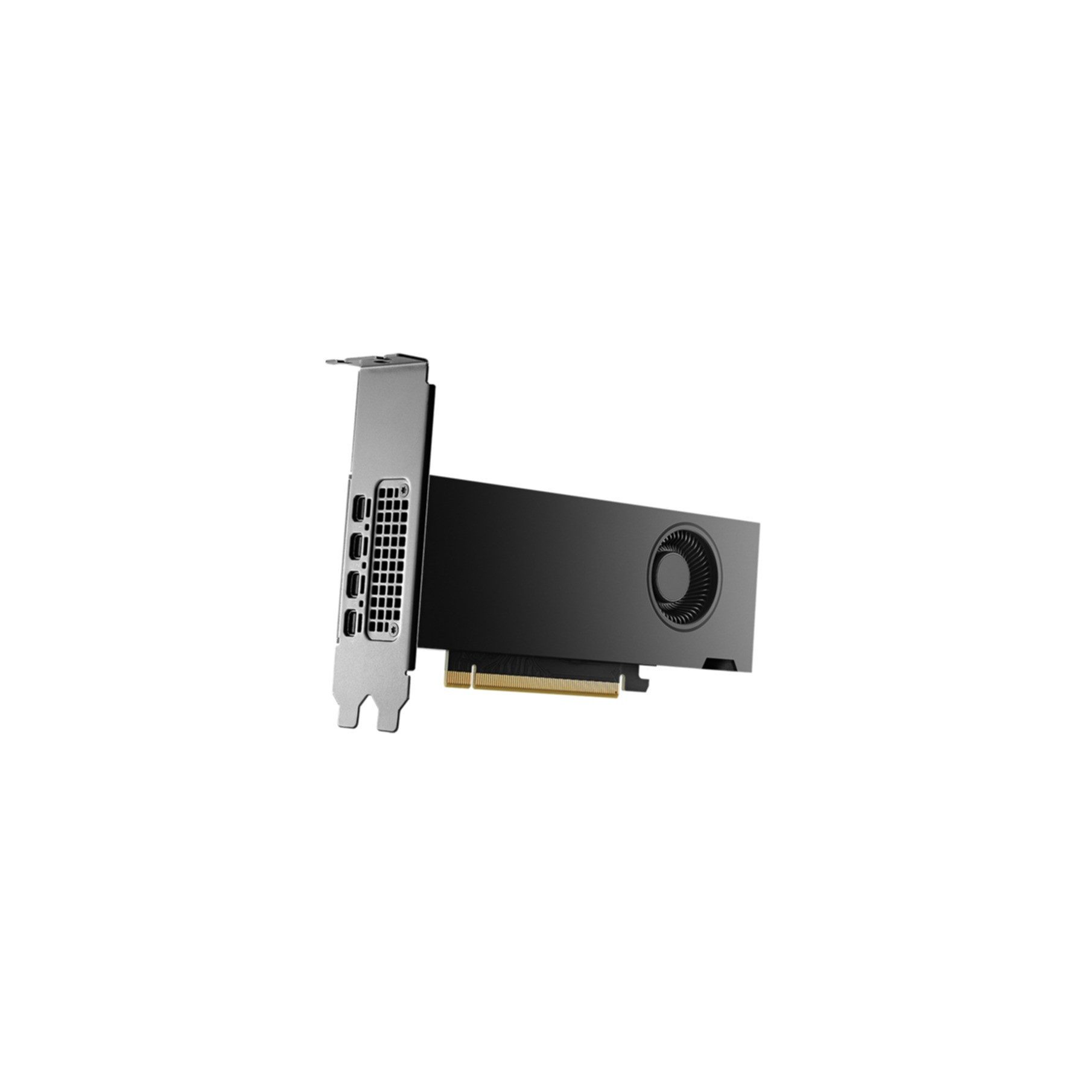 PNY NVIDIA RTX 2000 Ada Generation Grafikkarte
