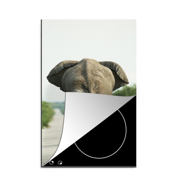 MuchoWow Herdblende-/Abdeckplatte Rücken eines Elefanten Vinyl (1 tlg) Küchen Dekoration für Induktionsherd Induktionskochfeld