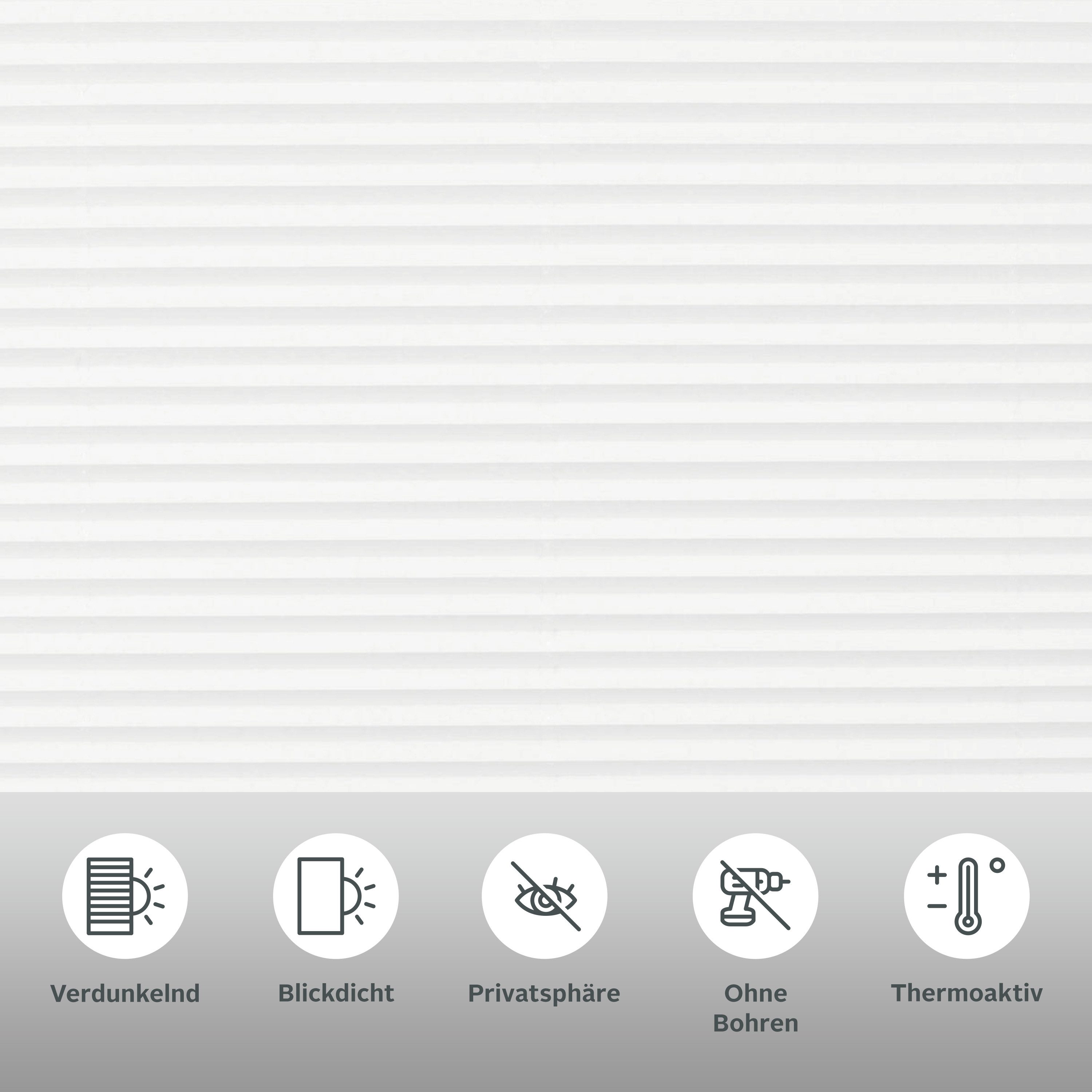 OTTO home Plissee CASUL, verdunkelnd, ohne Bohren, freihängend, Klemmfix, Wabenplissee, Klemmfix ohne Bohren, Verdunkelung - NEUHEIT!