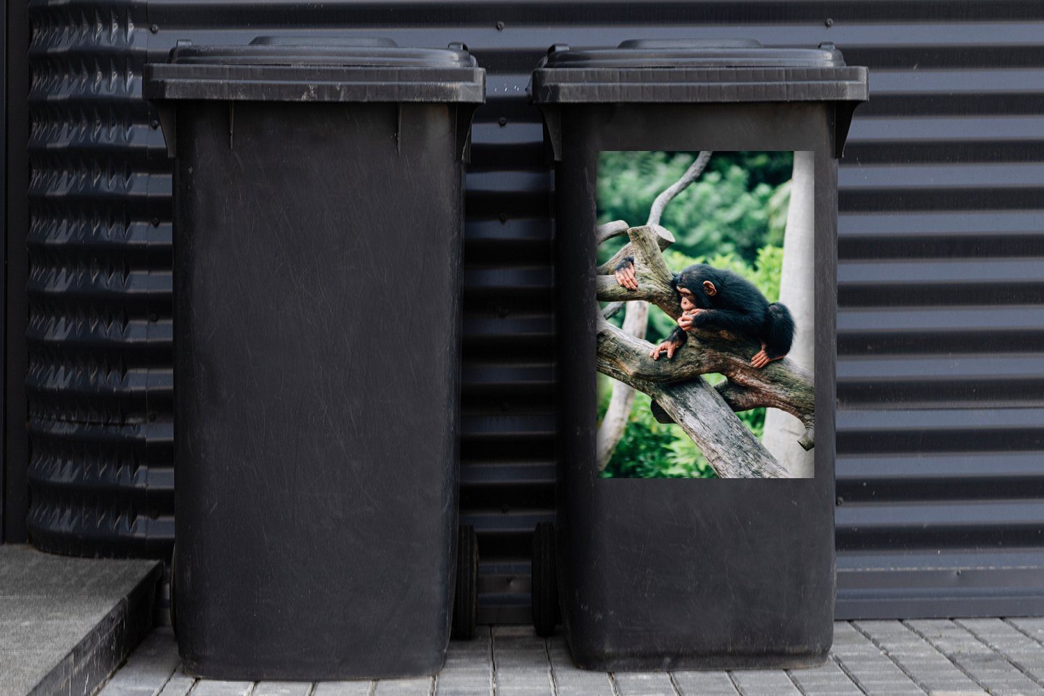 (1 MuchoWow Mülleimer-aufkleber, Mülltonne, Container, Sticker, im Dschungel Abfalbehälter Schimpanse St), Wandsticker Junger