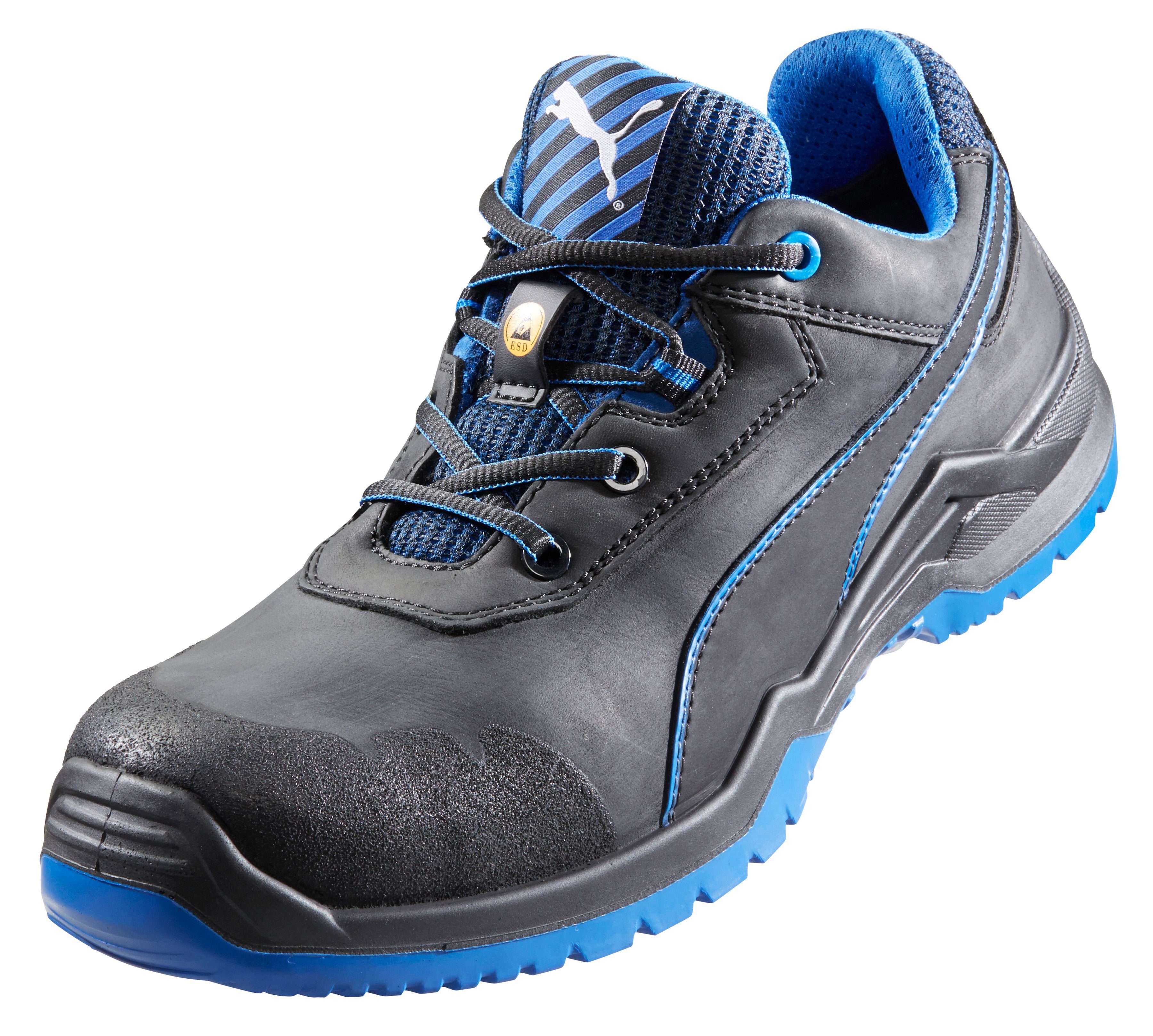 puma argon blue low