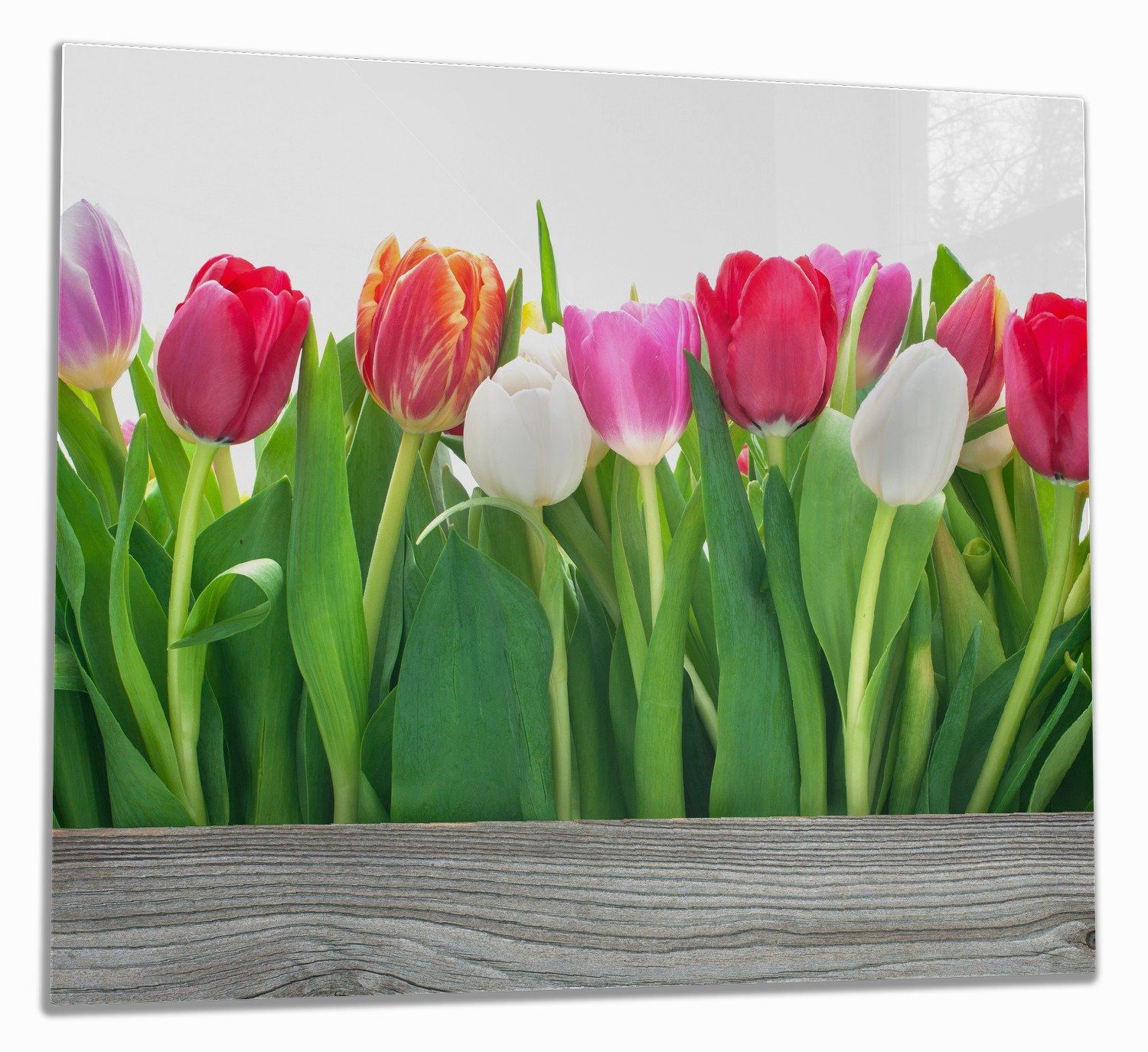 Wallario Herd-Abdeckplatte Rote weiße und pinke Tulpen im Frühling, ESG-Sicherheitsglas, (Glasplatte, 1 tlg., inkl. 5mm Noppen), verschiedene Größen