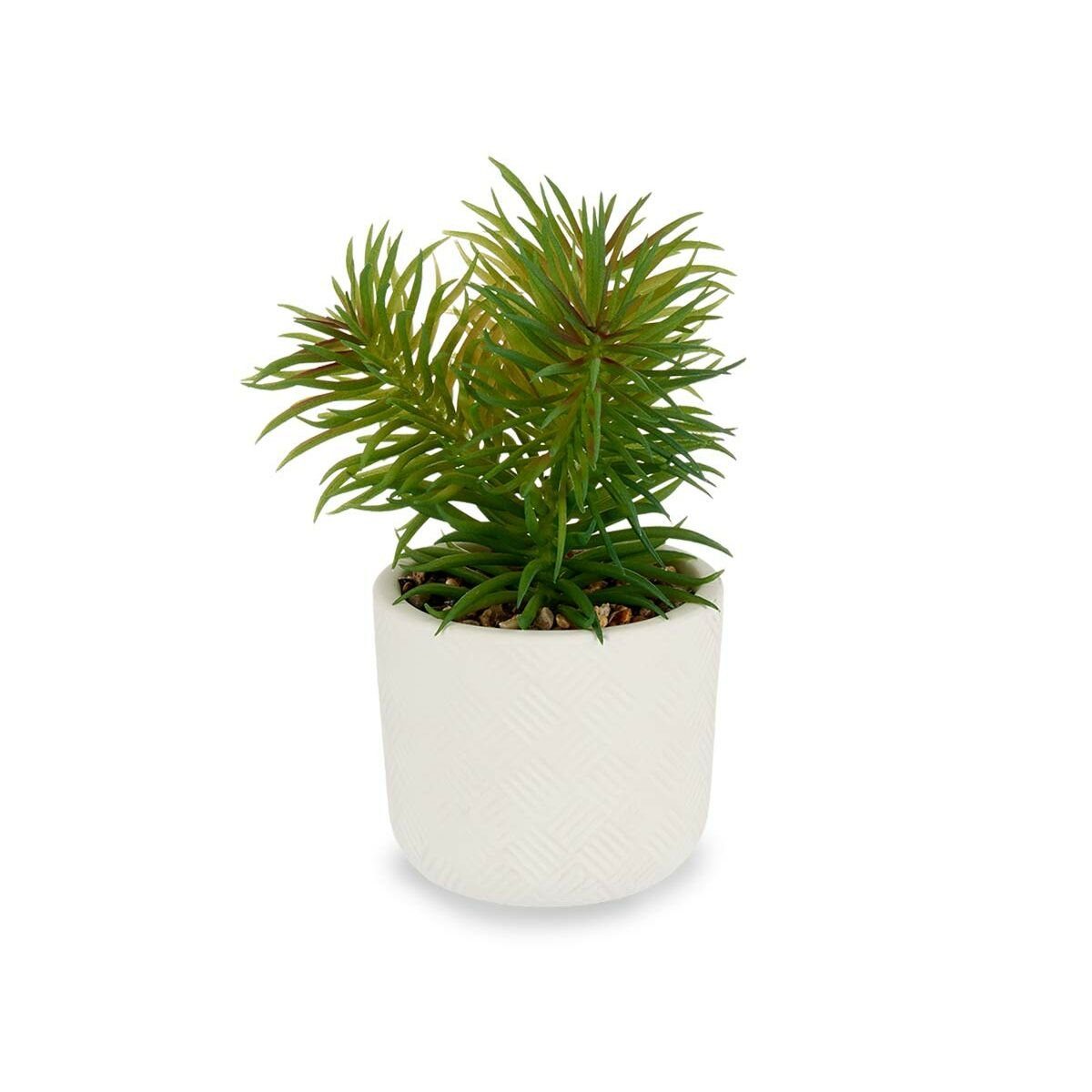 Künstliche Zimmerpflanze Dekorationspflanze x 12 14 Höhe 14 20 cm grün Weiß Stück, Ibergarden, 22 x cm