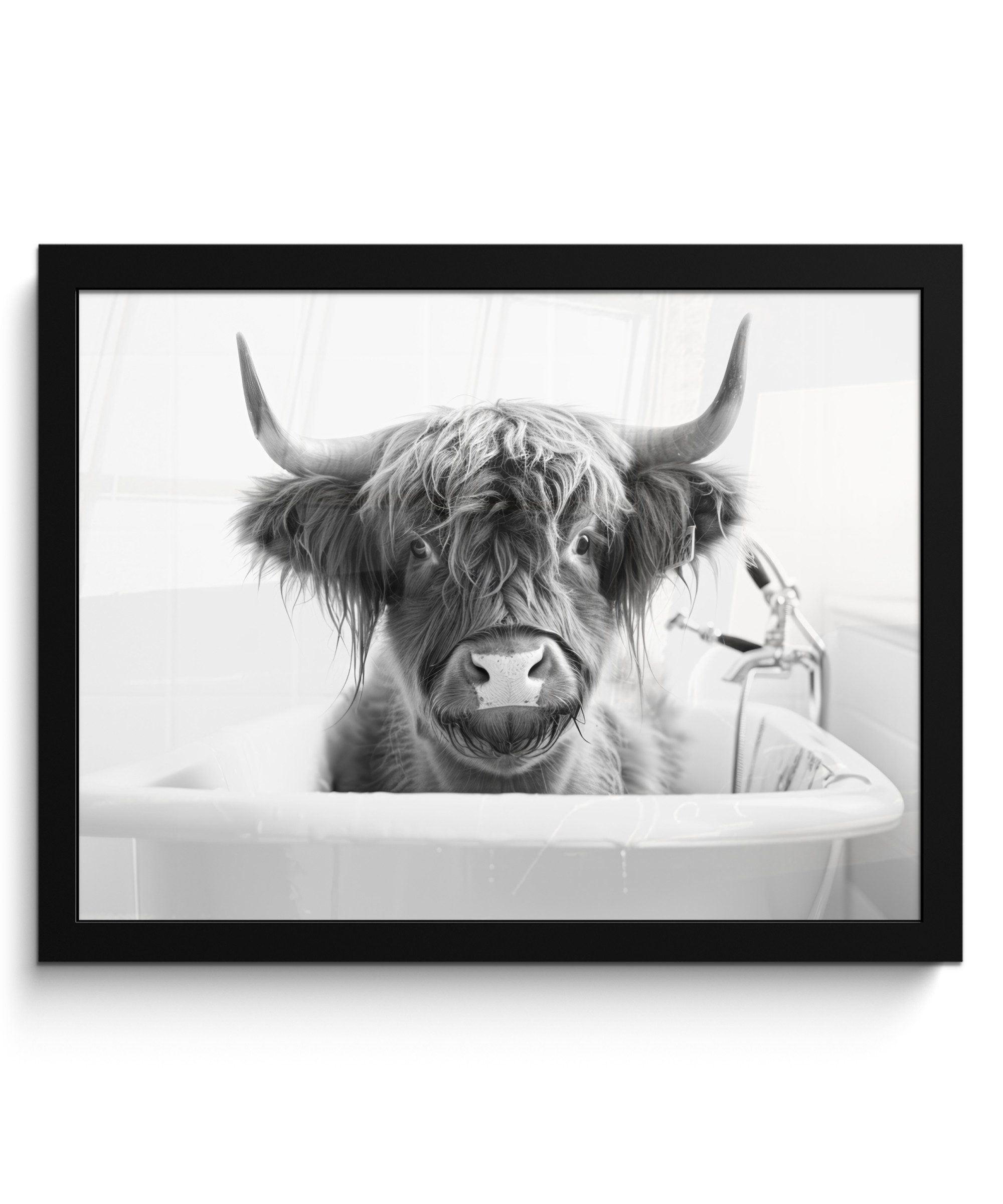 MuchoWow Poster Schottischer Highlander - Kuh günstig online kaufen