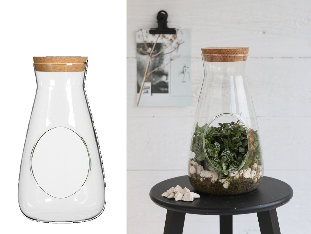 NaDeco Dekovase Zylinder Vase mit Korken, Höhe 22cm Ø12 cm Pflanzenterrarium