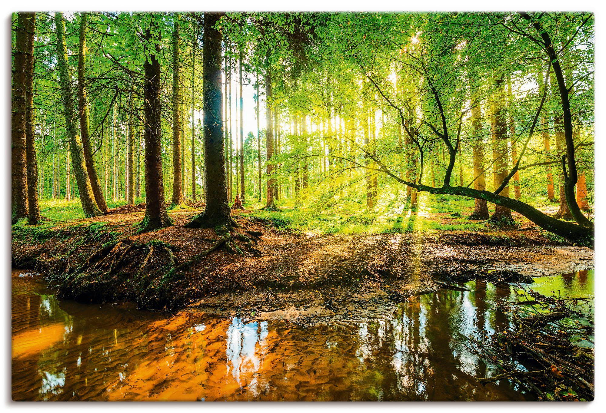 Artland Wandbild Wald mit Bach, Wald (1 St), als Alubild, Leinwandbild, Poster in verschied. Größen