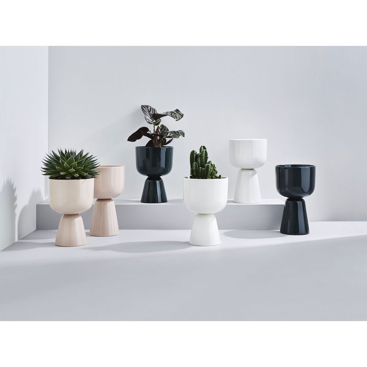 IITTALA Blumentopf Nappula