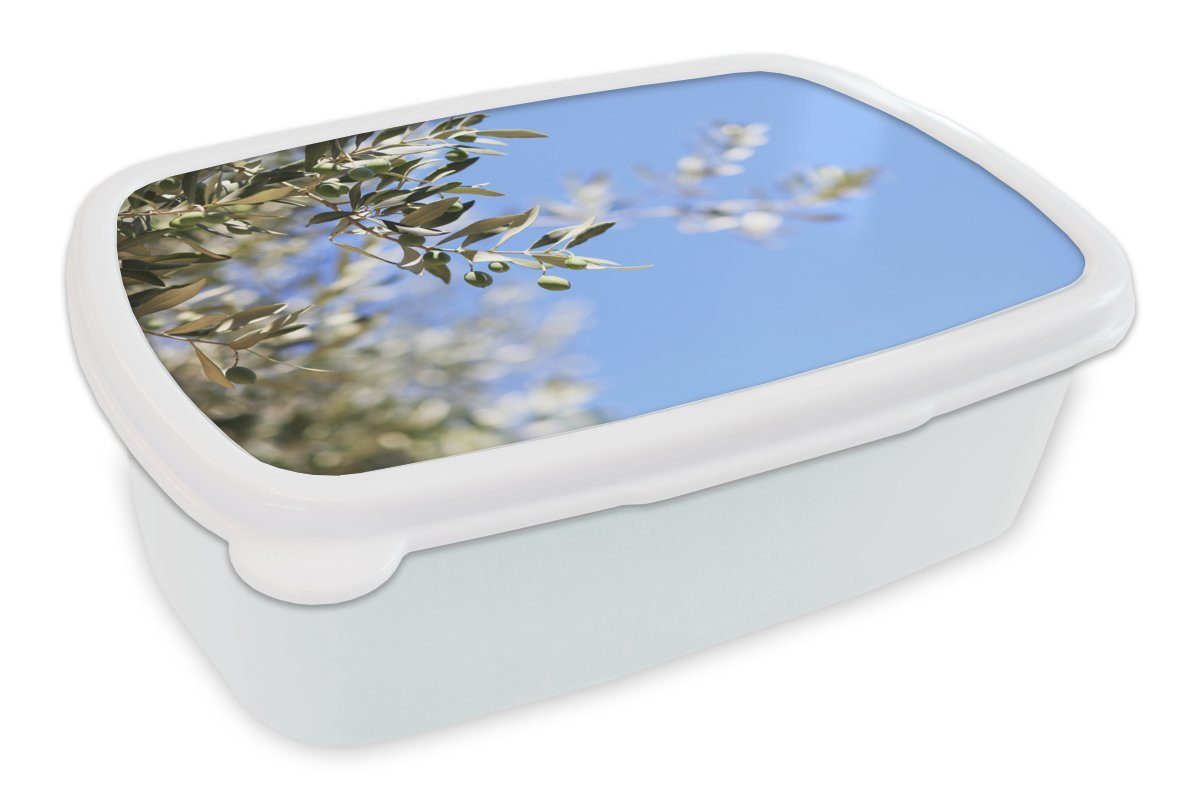 MuchoWow Lunchbox Zweige des Olivenbaums in Frankreich, Kunststoff, (2-tlg), Brotbox für Kinder und Erwachsene, Brotdose, für Jungs und Mädchen weiß | Lunchboxen