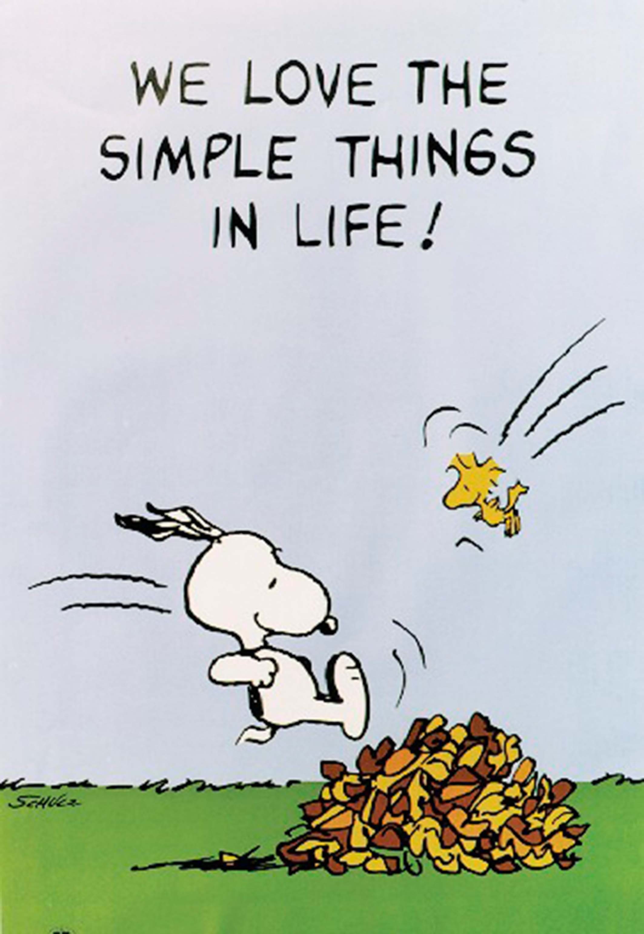 Poster Peanuts Poster We Love The Simple Things In Life! 61 x 91 cm
