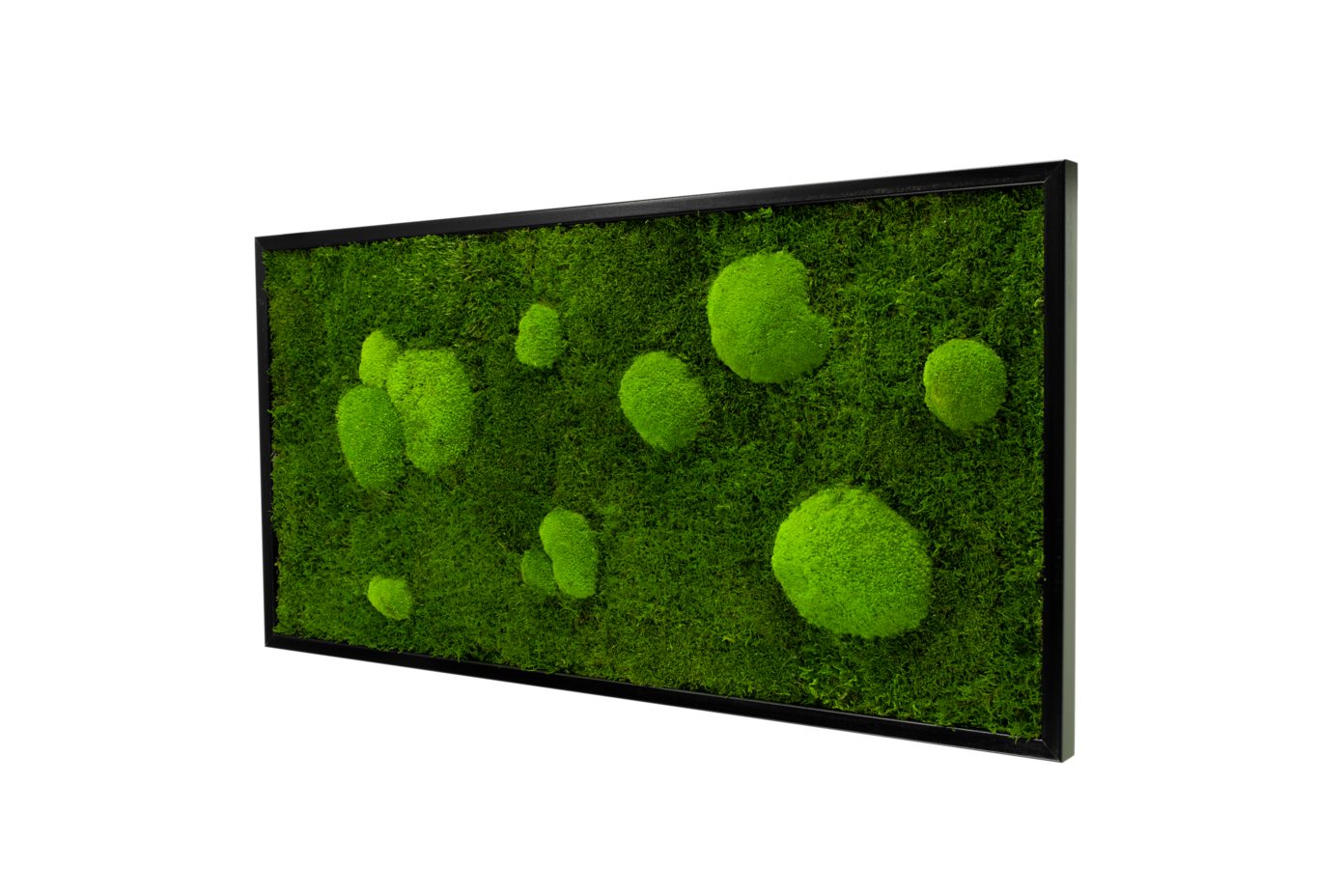 Moos-Design Bilderrahmen Moos Bild Forest Design günstig online kaufen