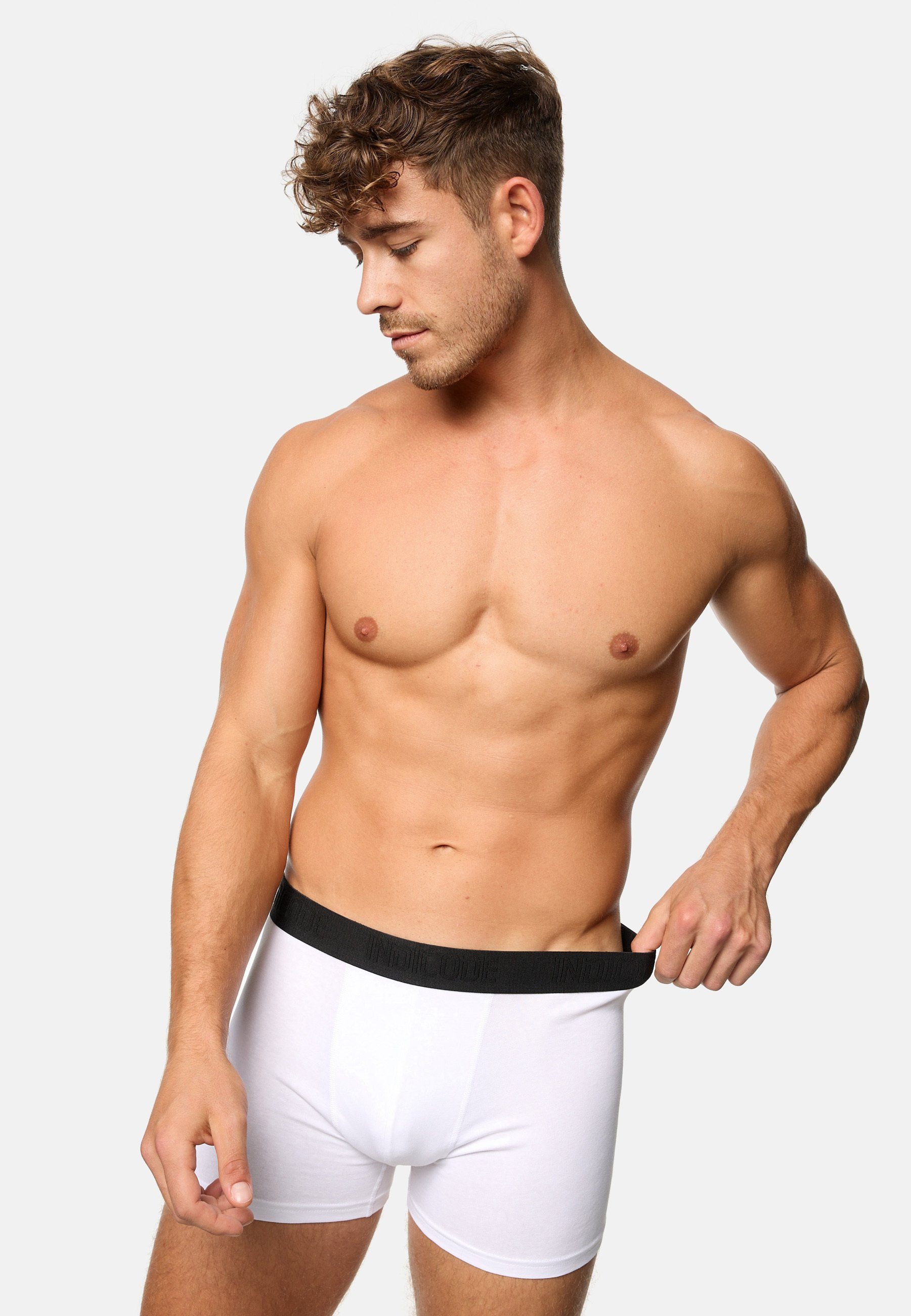 Indicode Boxershorts Herren Copenhagen Boxer Shorts Herrenshorts (Boxershorts) 7er Pack