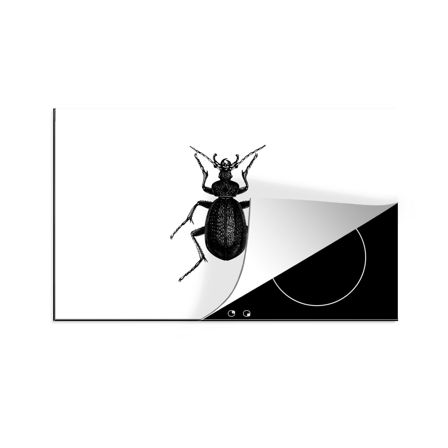 MuchoWow Herdblende-/Abdeckplatte Schwarz und weiß - Käfer - Vintage - Insekten, Vinyl, (1 tlg), 80x52 cm, Induktionskochfeld Schutz für die küche, Ceranfeldabdeckung