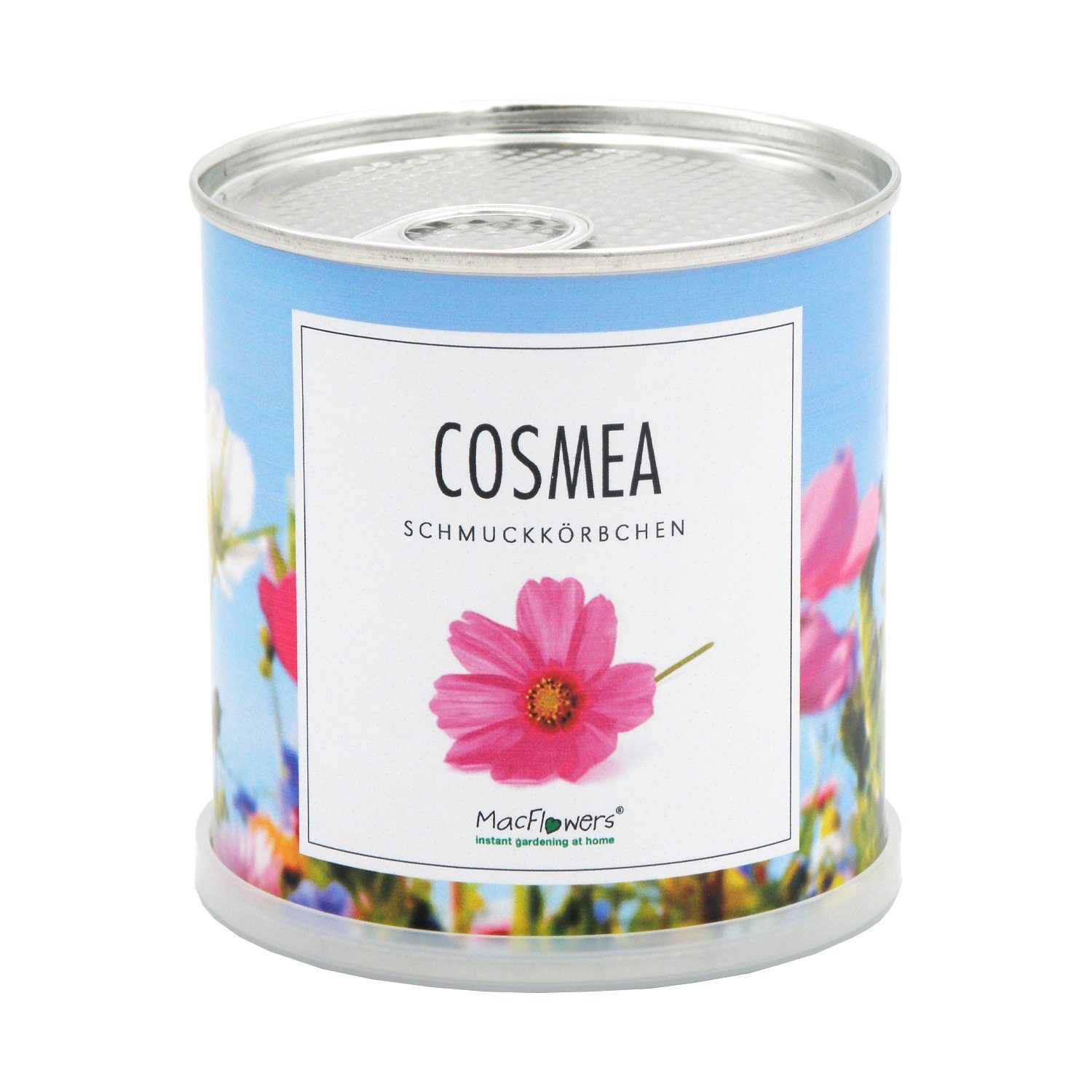 Cosmea bipinnatus - Dose - Anzuchttopf in Schmuckkörbchen Mix MacFlowers® der Blumengrüße