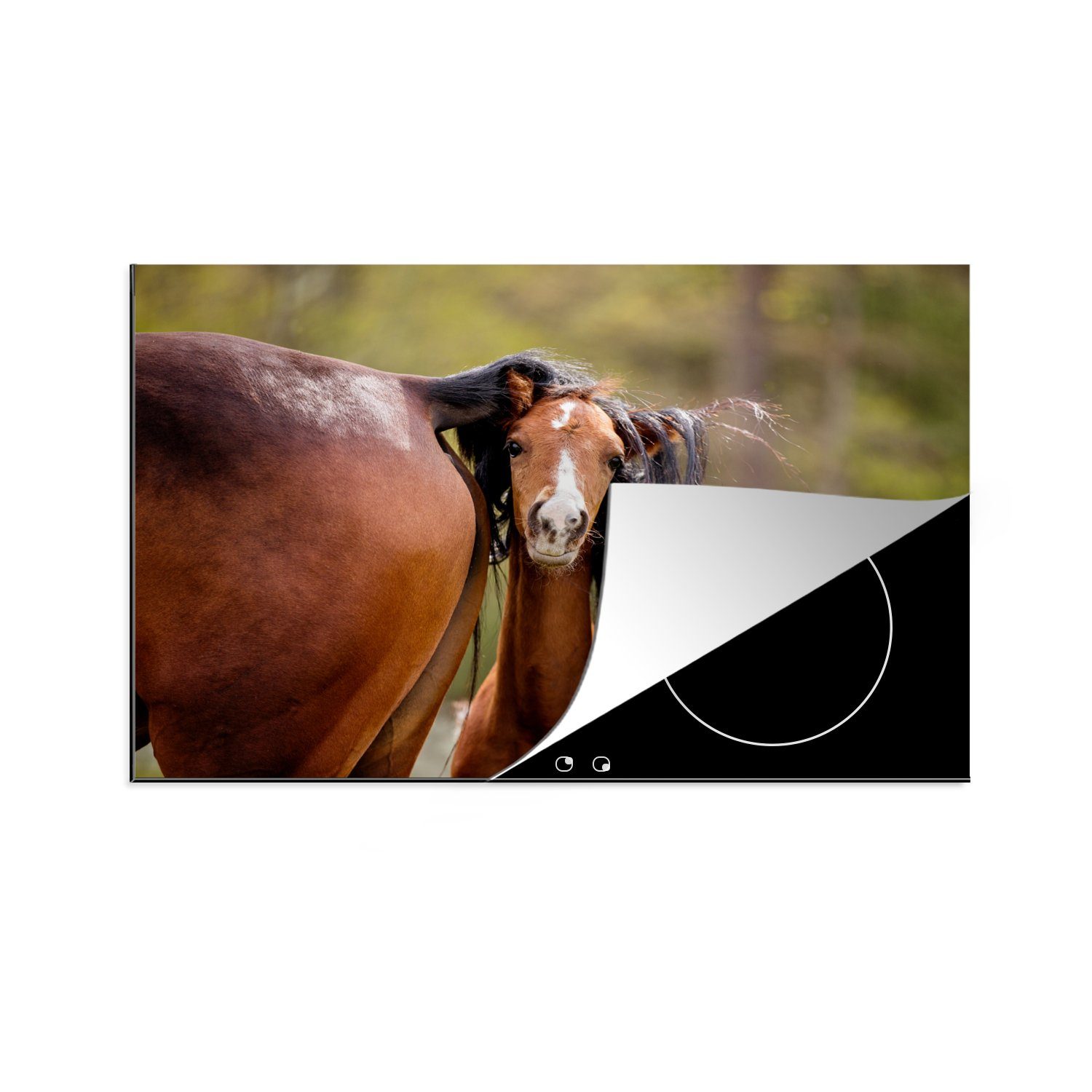 MuchoWow Herdblende-/Abdeckplatte Pferde - Natur - Braun, Vinyl, (1 tlg), 81x52 cm, Induktionskochfeld Schutz für die küche, Ceranfeldabdeckung