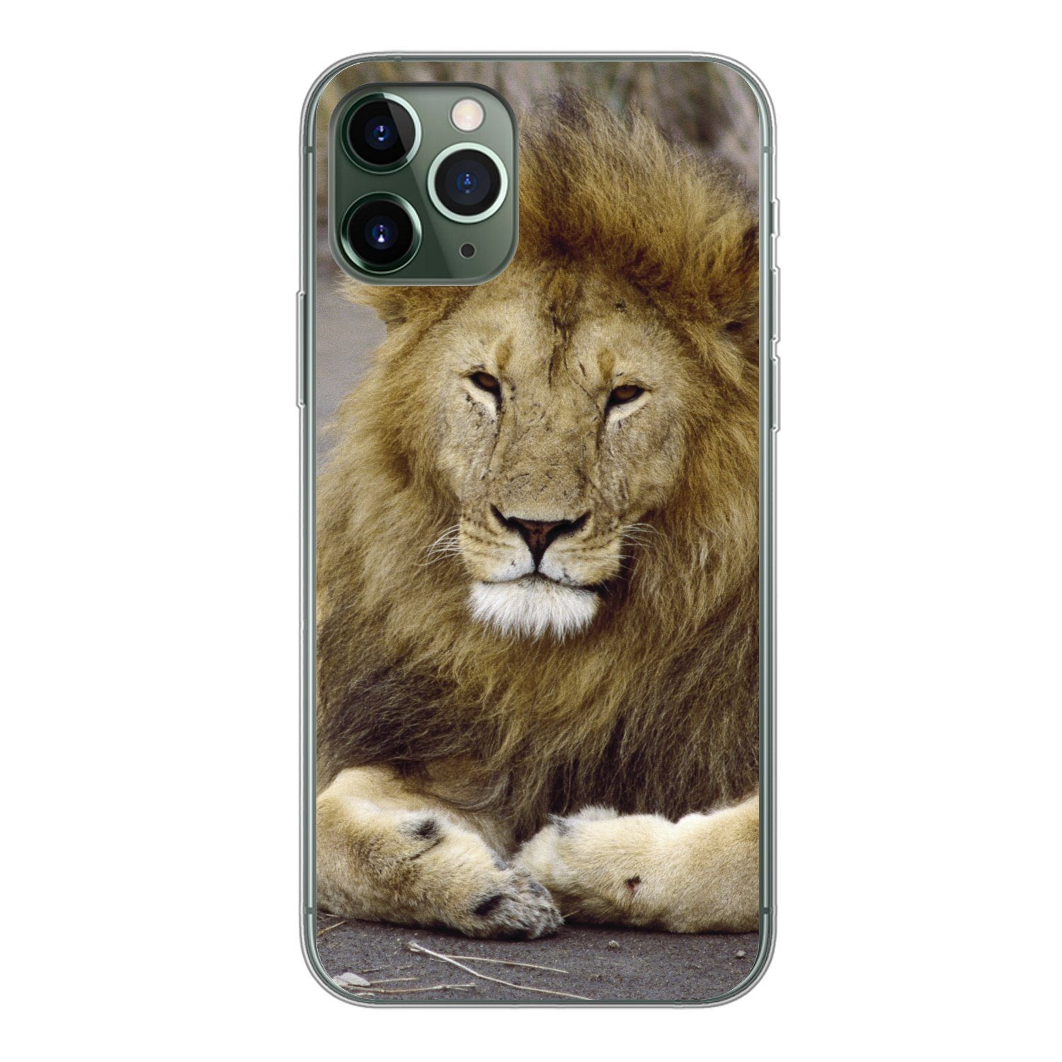 MuchoWow Handyhülle »Löwe - Afrika - Tier«, Handyhülle Apple iPhone 11 Pro,  Smartphone-Bumper, Print, Handy