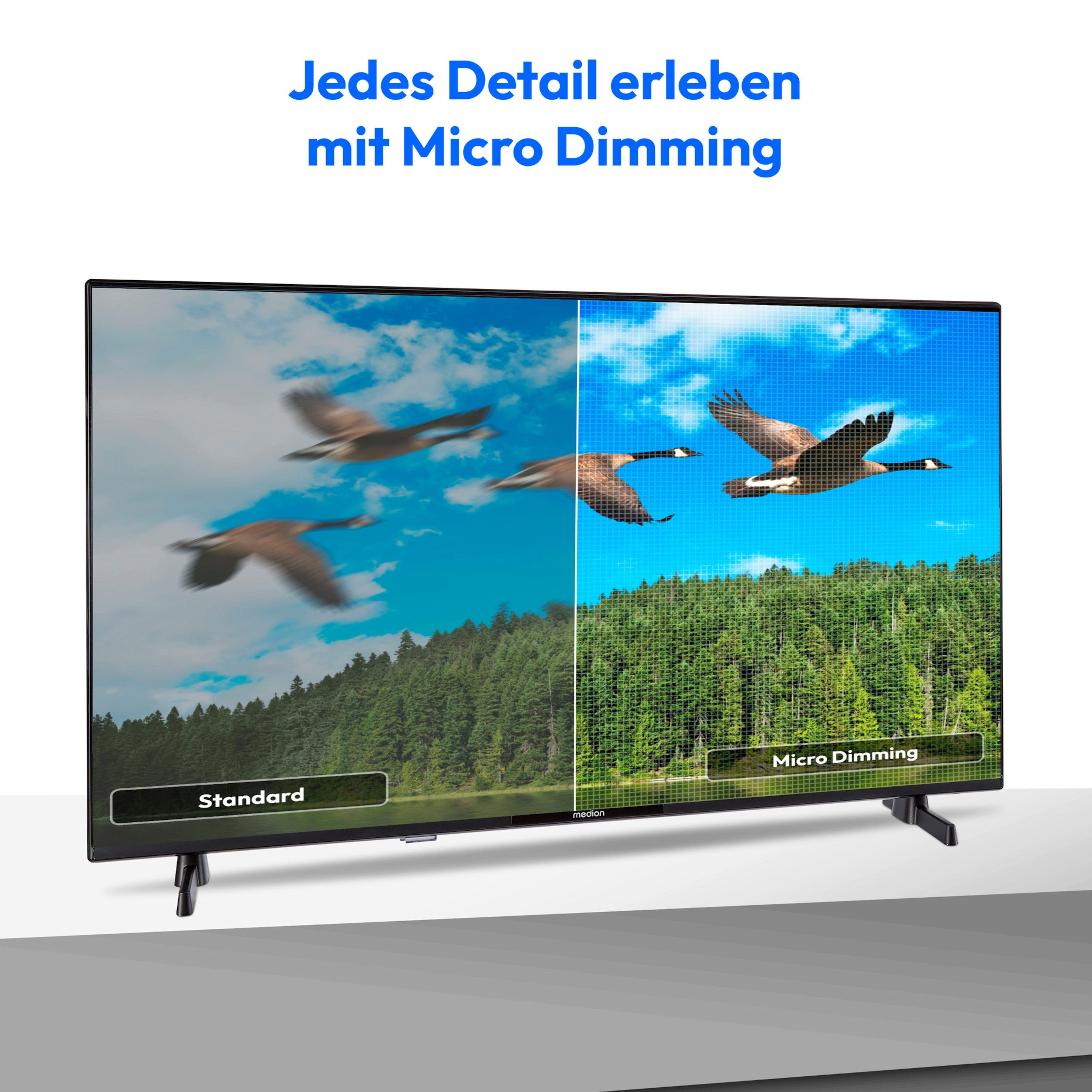 Medion® MD843100 LCD-LED Fernseher (108 cm/43 Zoll, 1080p Full HD, Smart-TV, HDR10, DTS HD, Virtual X, Playstore, Netflix, HBO Max, Prime Video)