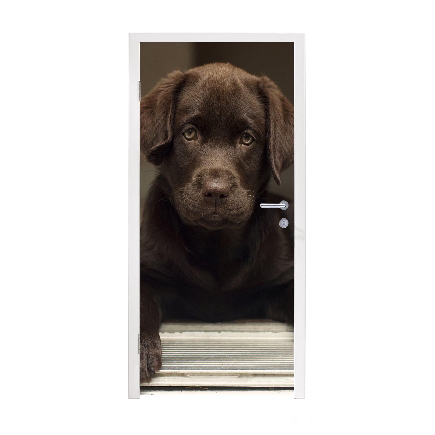 MuchoWow Türtapete Niedlicher Labrador Retriever schaut in die Kamera, Matt, bedruckt, (1 St), Fototapete für Tür, Türaufkleber, 75x205 cm