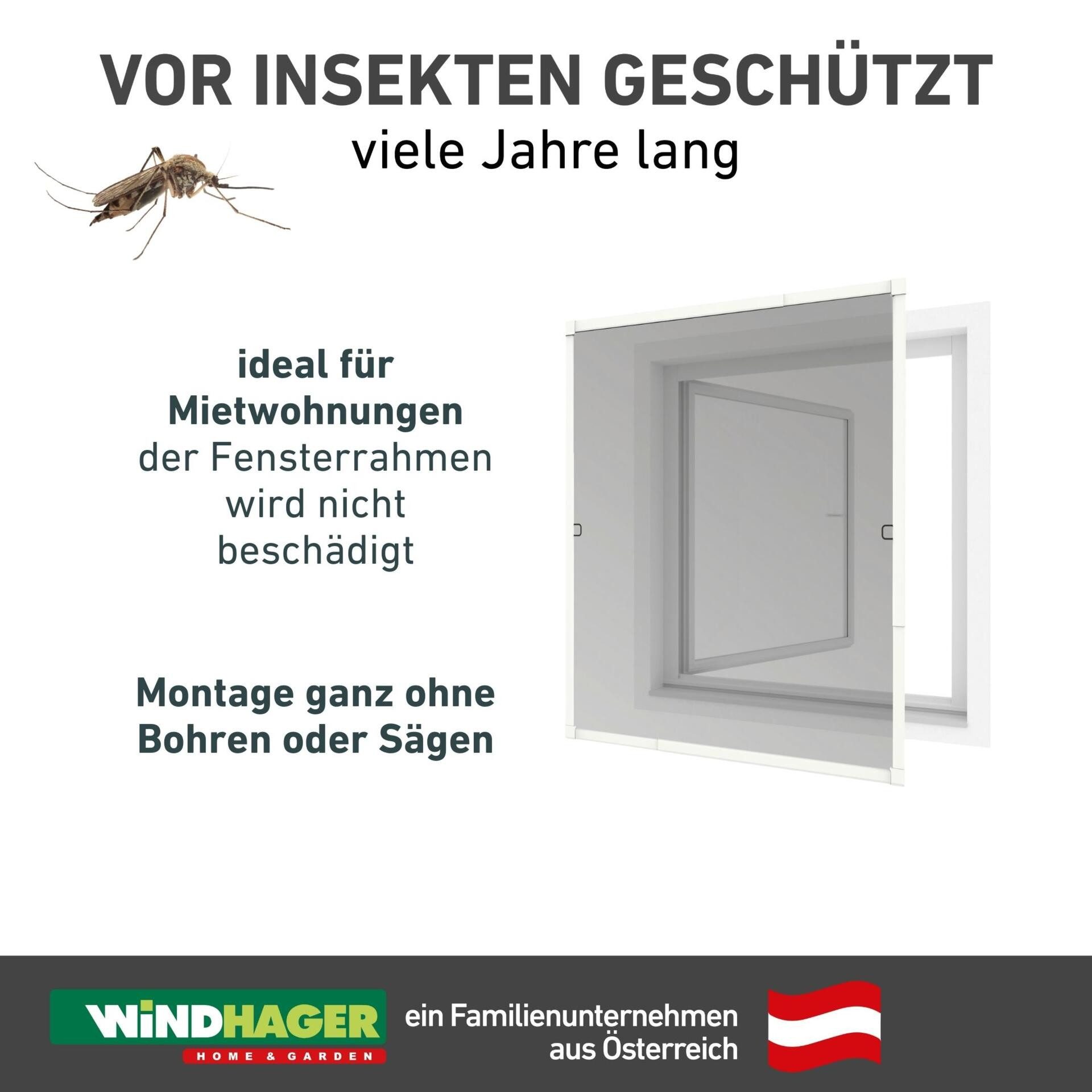 Windhager Insektenschutz-Fensterrahmen Click & Protect mit Alurahmen, Spannrahmen Fenster teleskopierbar, Fliegengitter in weiß, anthrazit erhältlich, 130x140cm, ohne bohren