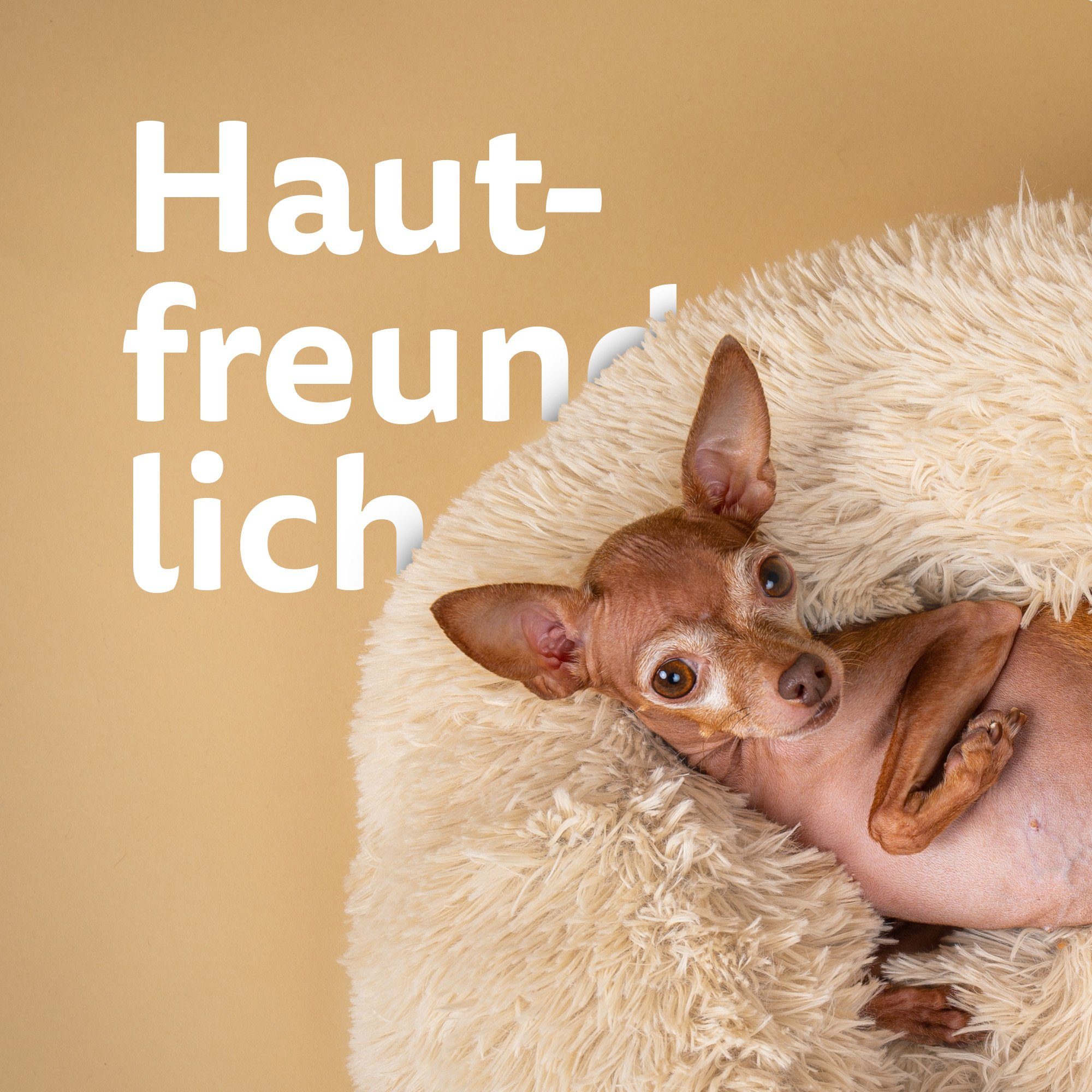 Bestlivings Tierbett Haustierbett Fluffy, Polyester, Hundekissen rund flauschig, rutschfest - Hundebett Katzenbett