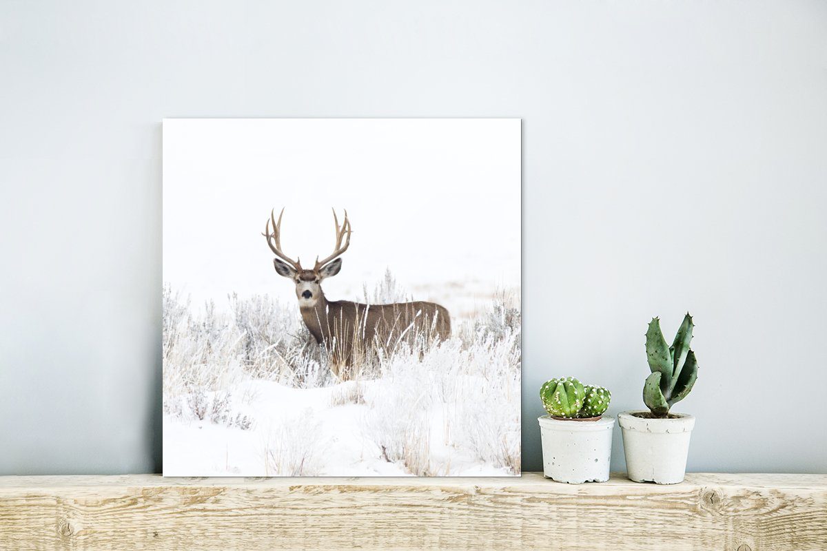St), Hirsche aus Winter Alu-Dibond-Druck, Gemälde - - Metallbild Tiere Jahreszeiten (1 - Schnee Weiß, Metall, MuchoWow - - Aluminium deko
