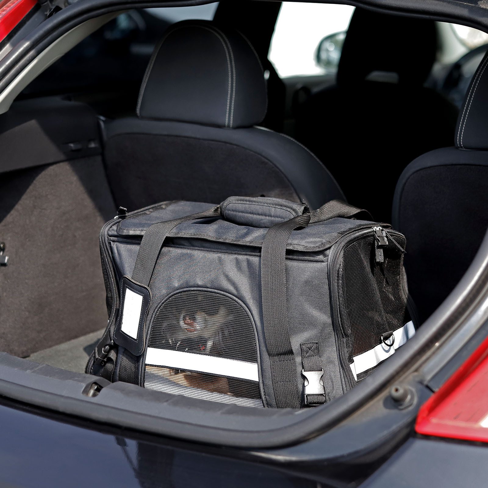 lionto Tiertransportbox weich, Transporttasche 48,5x27x31,5 cm bis 10 kg, mit Tragegriffen, Schultergurt und Koffergriffhalterung