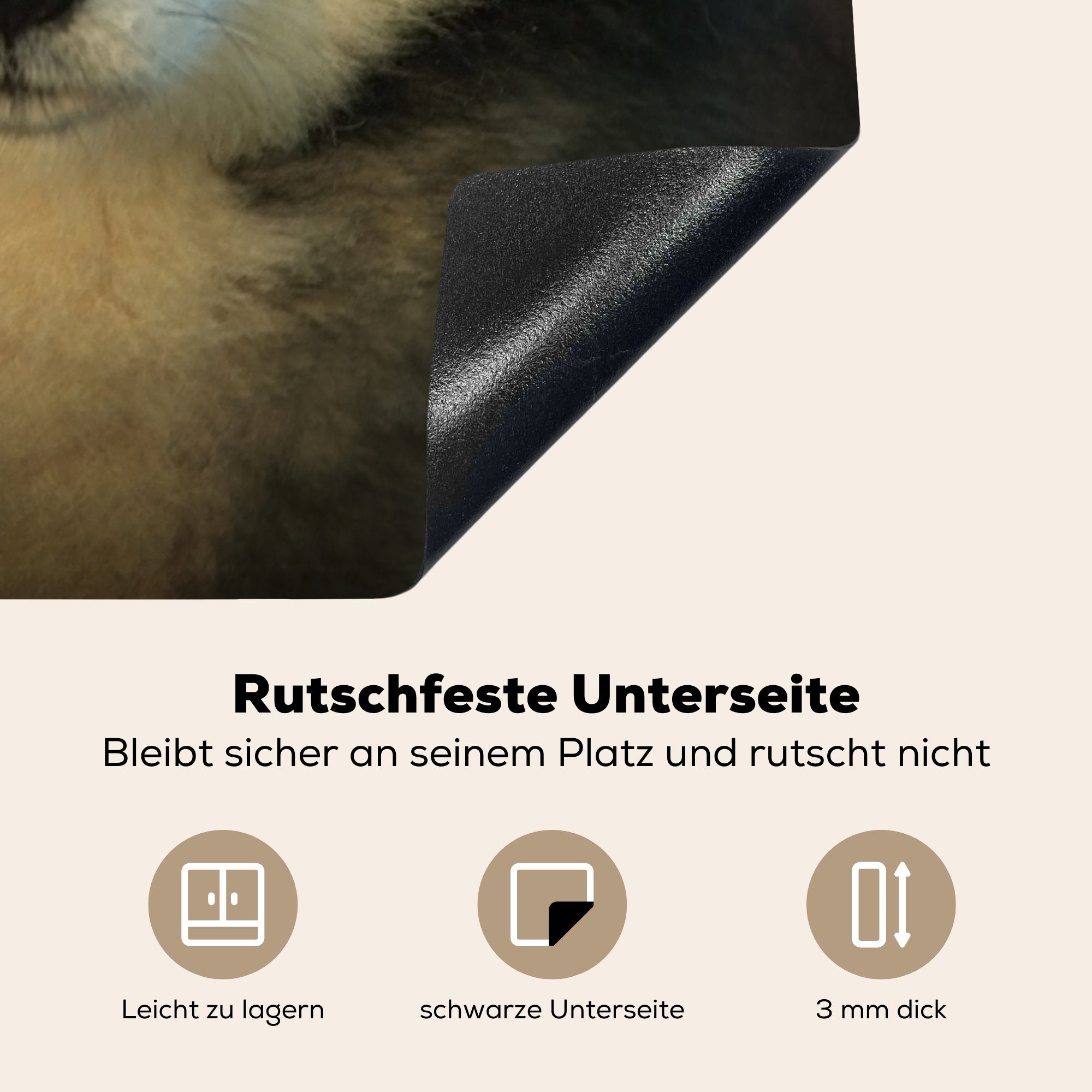 cm, Arbeitsplatte schaut Ceranfeldabdeckung, (1 Herdblende-/Abdeckplatte küche für Kamera, MuchoWow 78x78 tlg), in die Husky Vinyl,