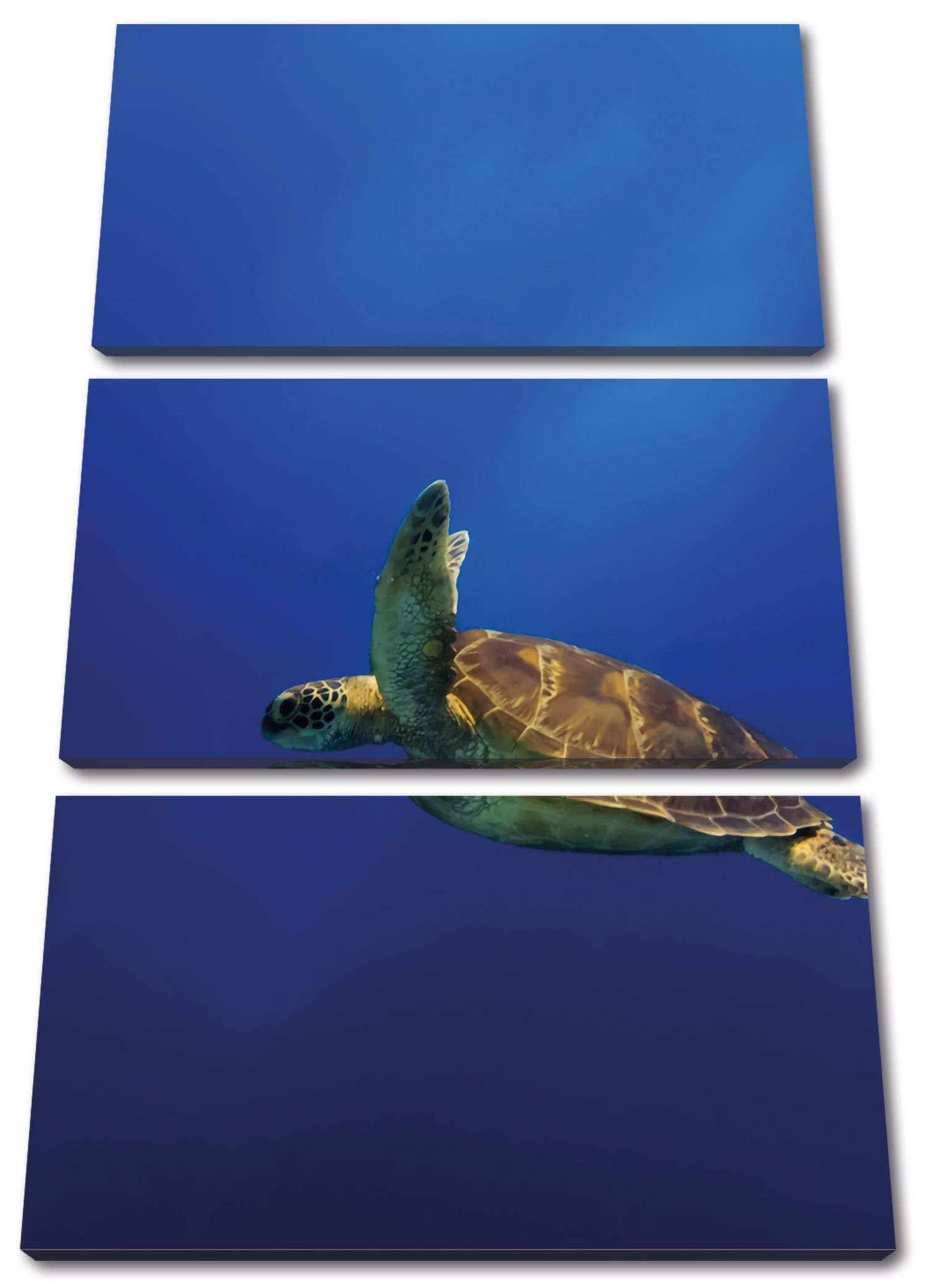 bespannt, Schildkröte Leinwandbild (1 3Teiler im Meer, Pixxprint Meer Zackenaufhänger (120x80cm) St), Schildkröte Leinwandbild fertig inkl. im