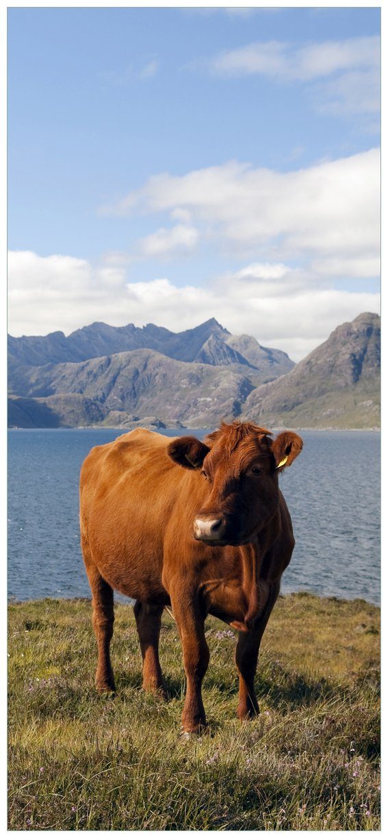 Wallario Türtapete Kuh in den Bergen, glatt, ohne Struktur