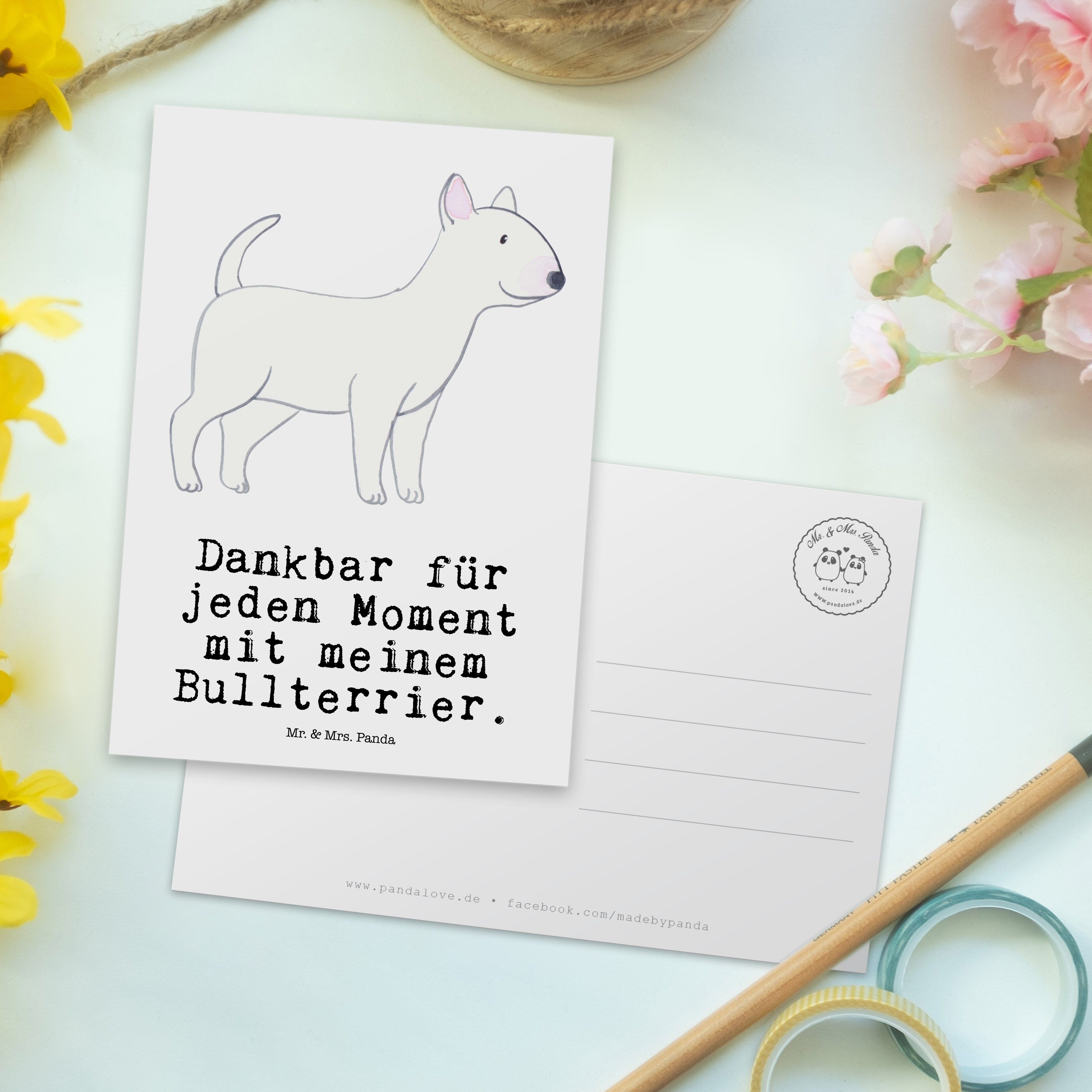 Mr. & Welpe, Postkarte Panda Hundebesitzer, - Weiß Bullterrier Moment Geschenk, Mrs. Geburtsta 