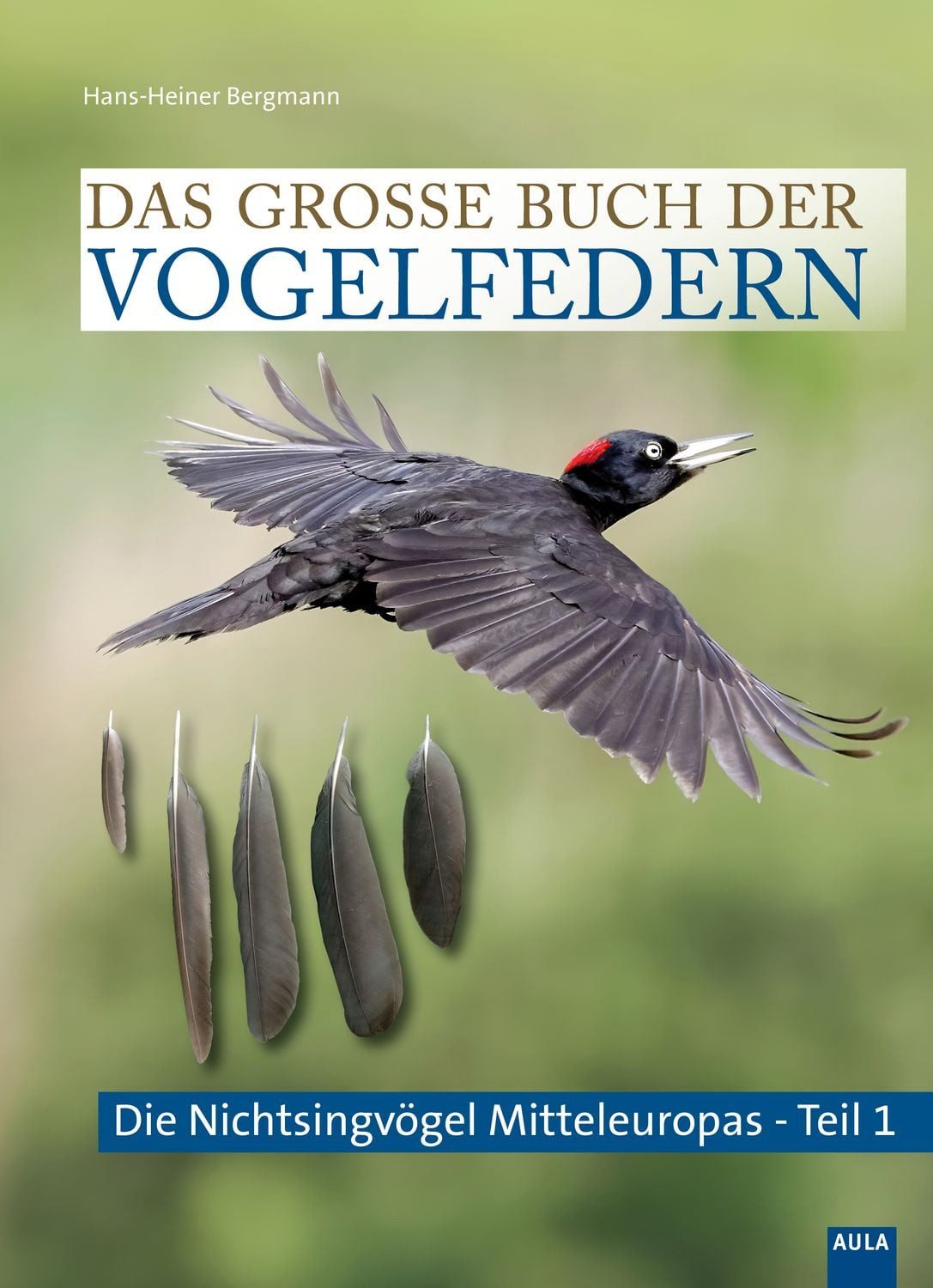 DIY-Buch Das große Buch der Vogelfedern Die Nicht-Singvögel Mitteleuropas - Tei Hans-Heiner Bergmann