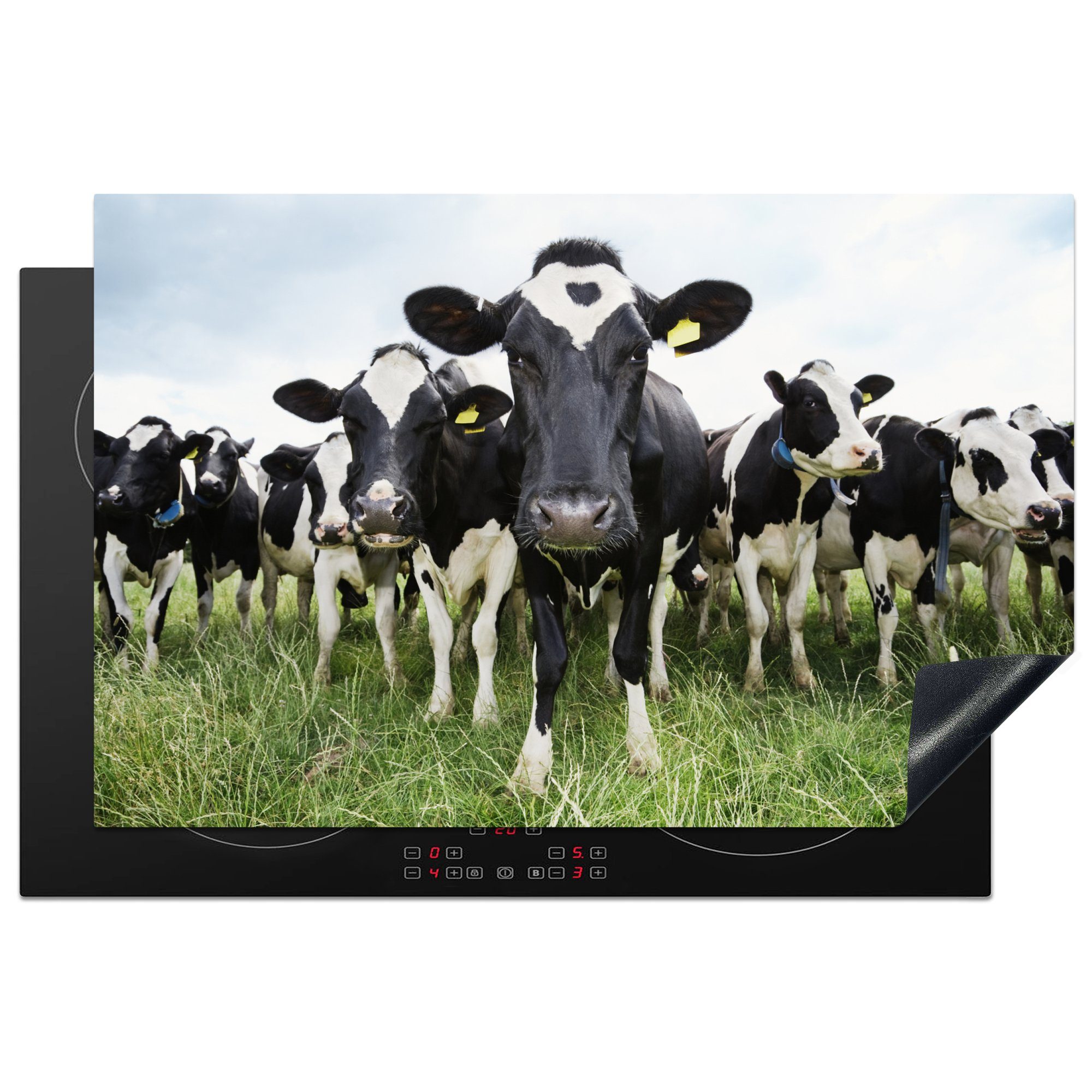 Gras - - Wiese - Kühe die Schutz Tiere Herdblende-/Abdeckplatte tlg), - Induktionskochfeld (1 Bauernhof, Ceranfeldabdeckung Vinyl, 81x52 für Frühling - cm, MuchoWow küche,