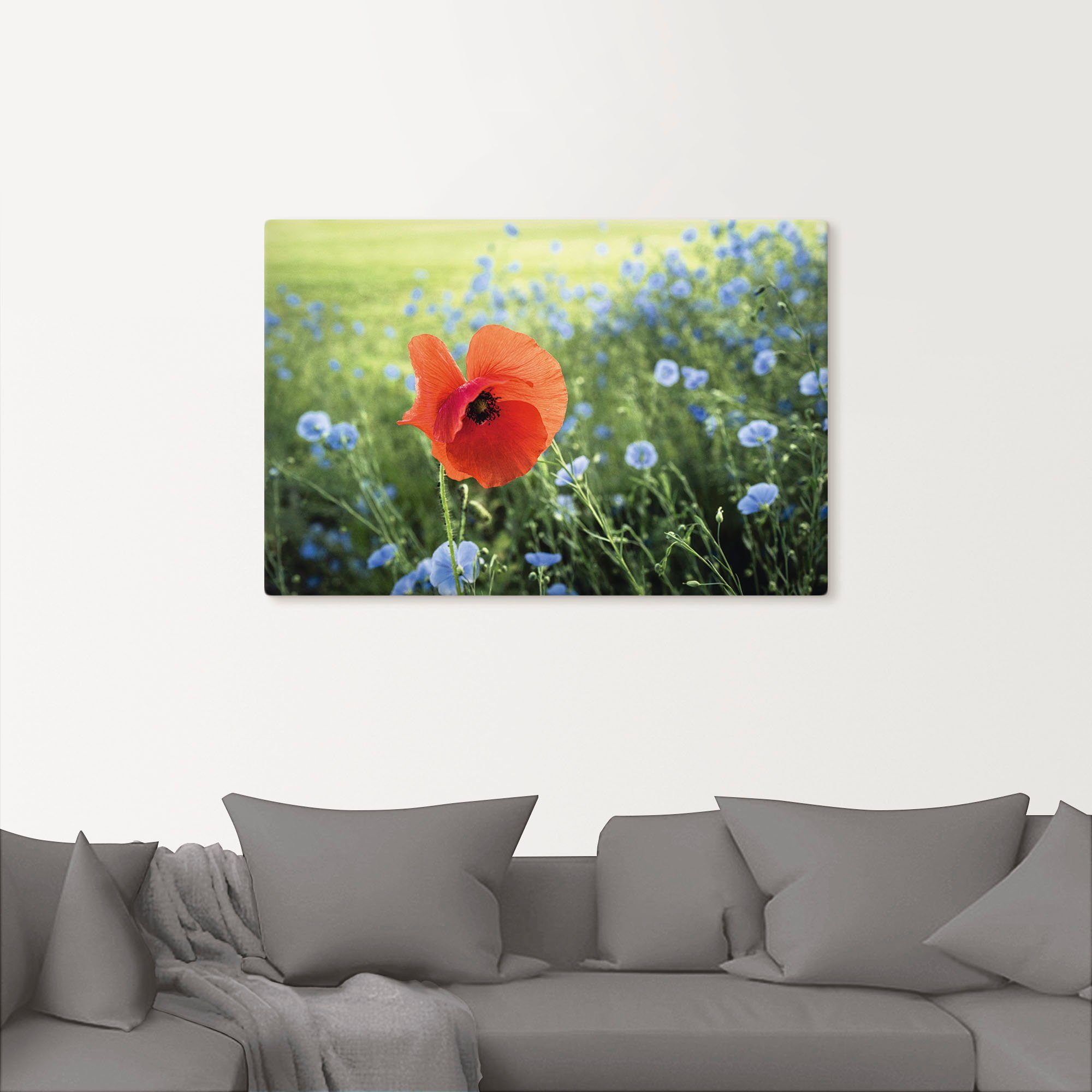 oder Größen als Wandbild Artland Alubild, Poster St), III, in (1 Mohnblüte Leinwandbild, Blumenbilder Wandaufkleber versch.