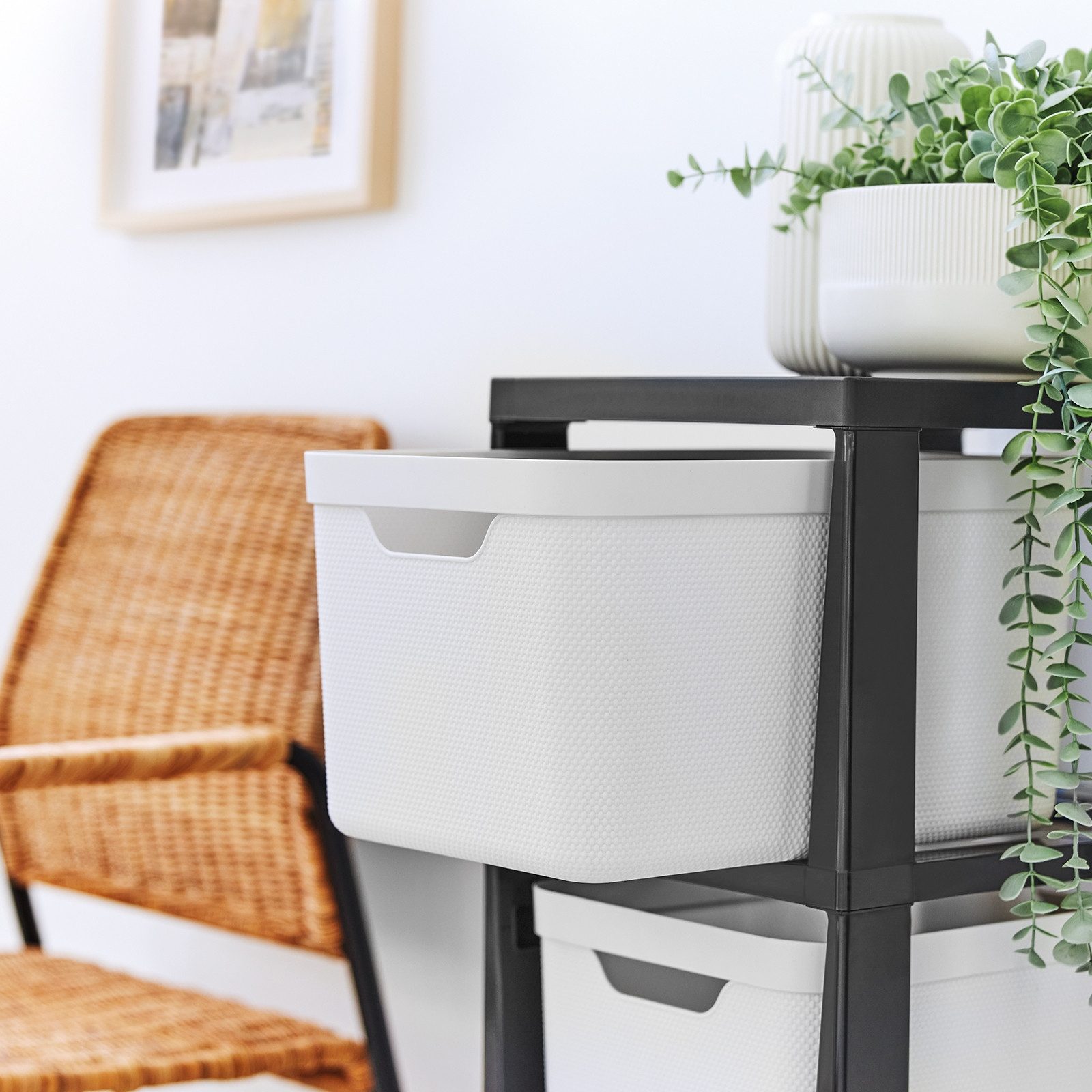 ROTHO Rollcontainer günstig online kaufen