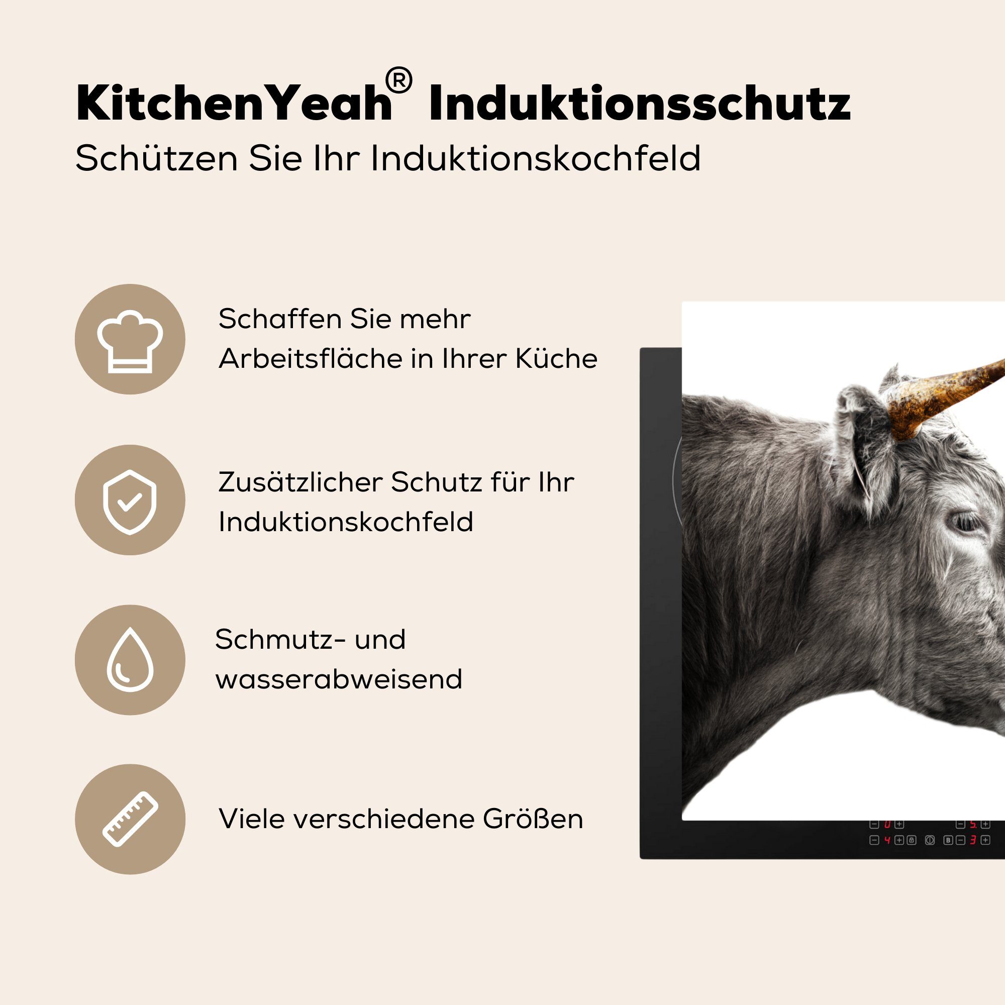 Goldene MuchoWow Arbeitsplatte für Schottischer - tlg), Ceranfeldabdeckung, (1 78x78 Highlander küche Hörner, Kuh Schottische Herdblende-/Abdeckplatte Vinyl, cm, -