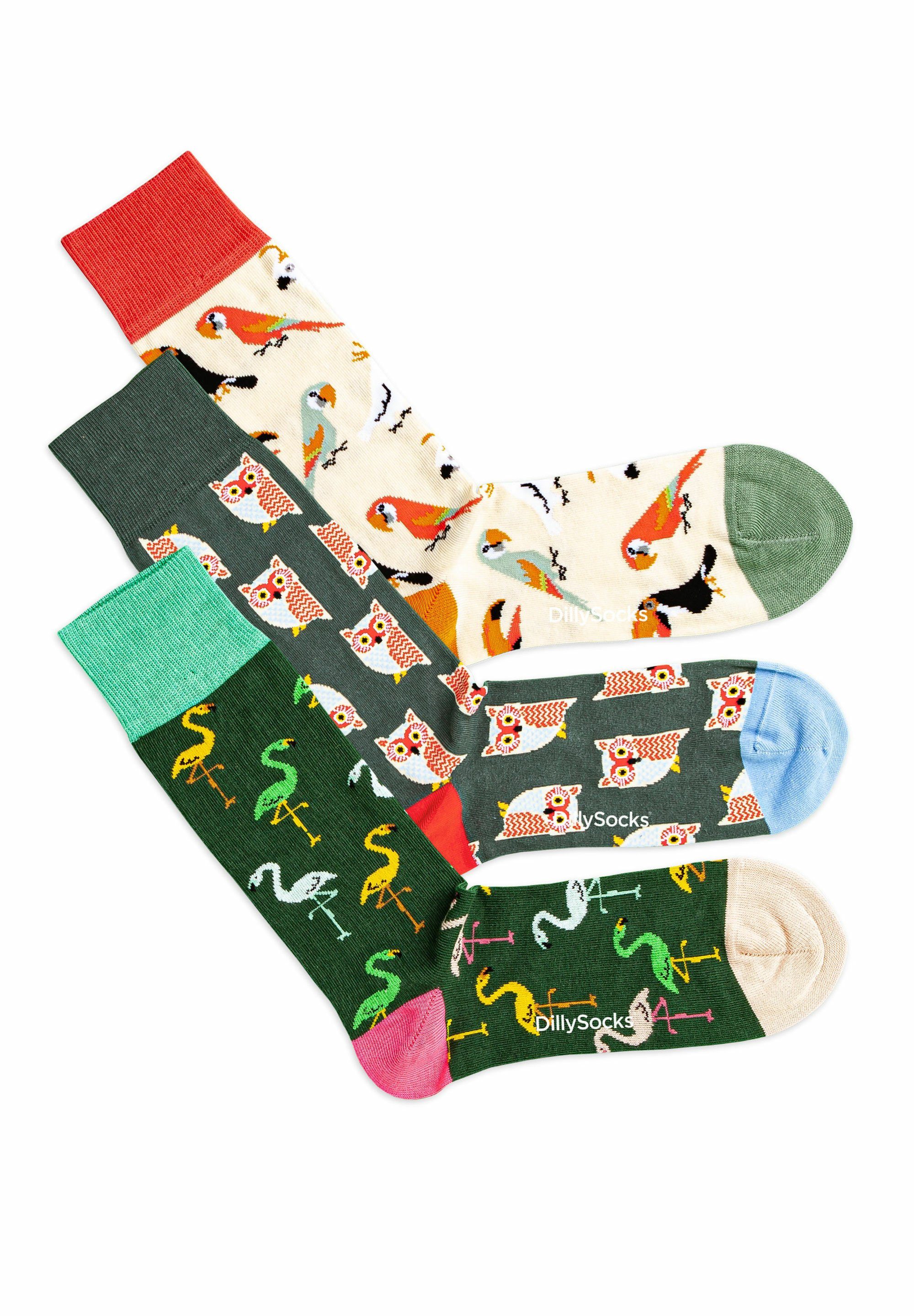 DillySocks Basicsocken Bird Crowd Pack aus nachhaltiger Baumwolle
